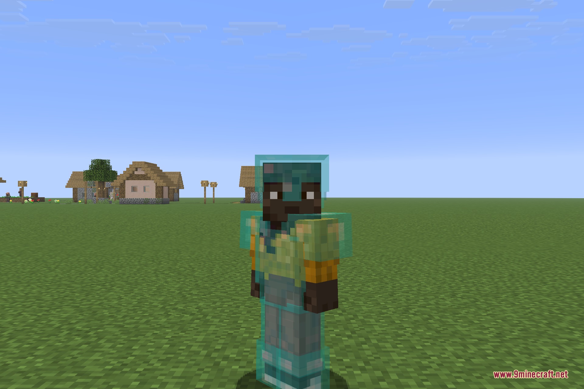 A Minecraft character wearing translucent armor standing in a grassy field