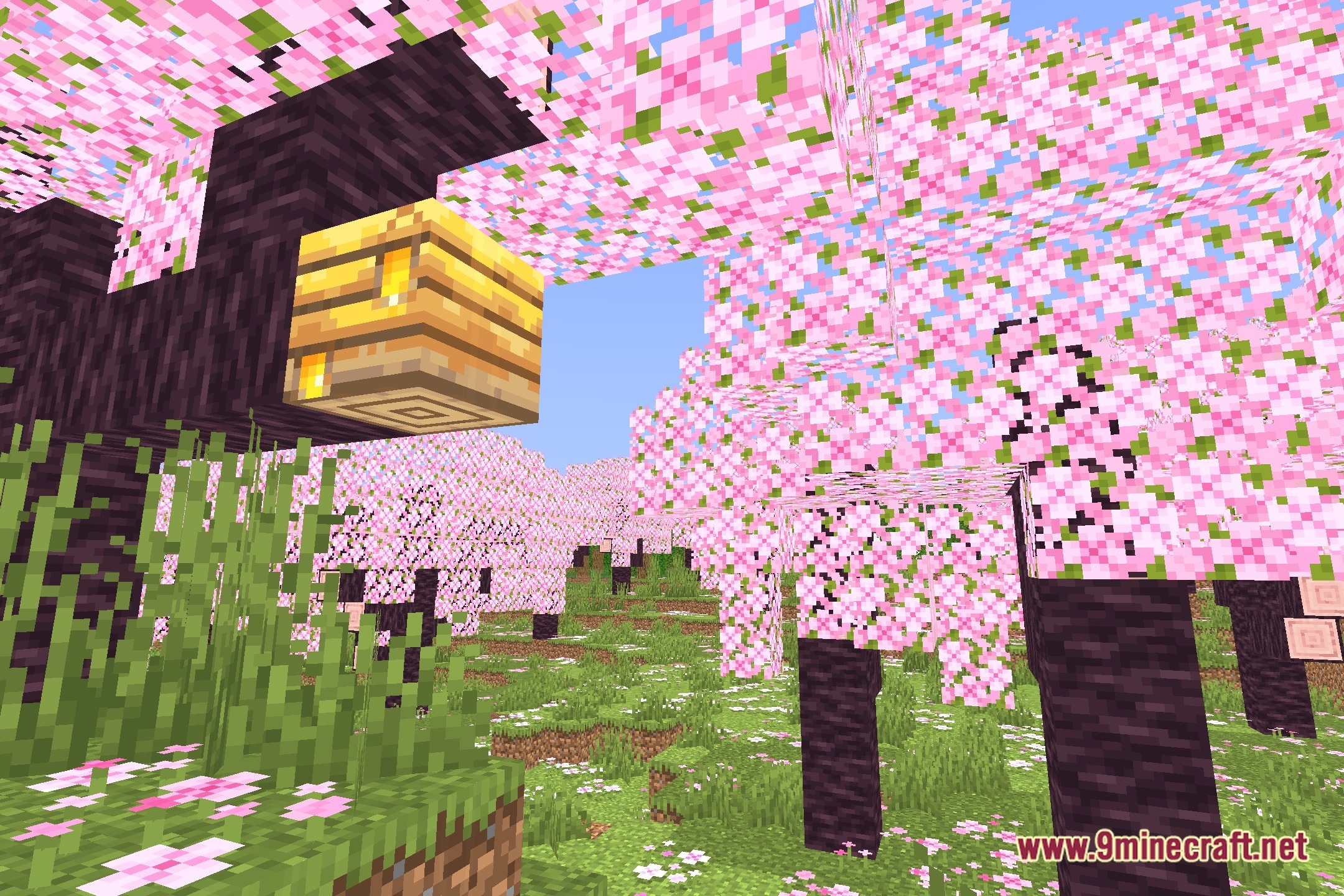 TrioShader Screenshot 1