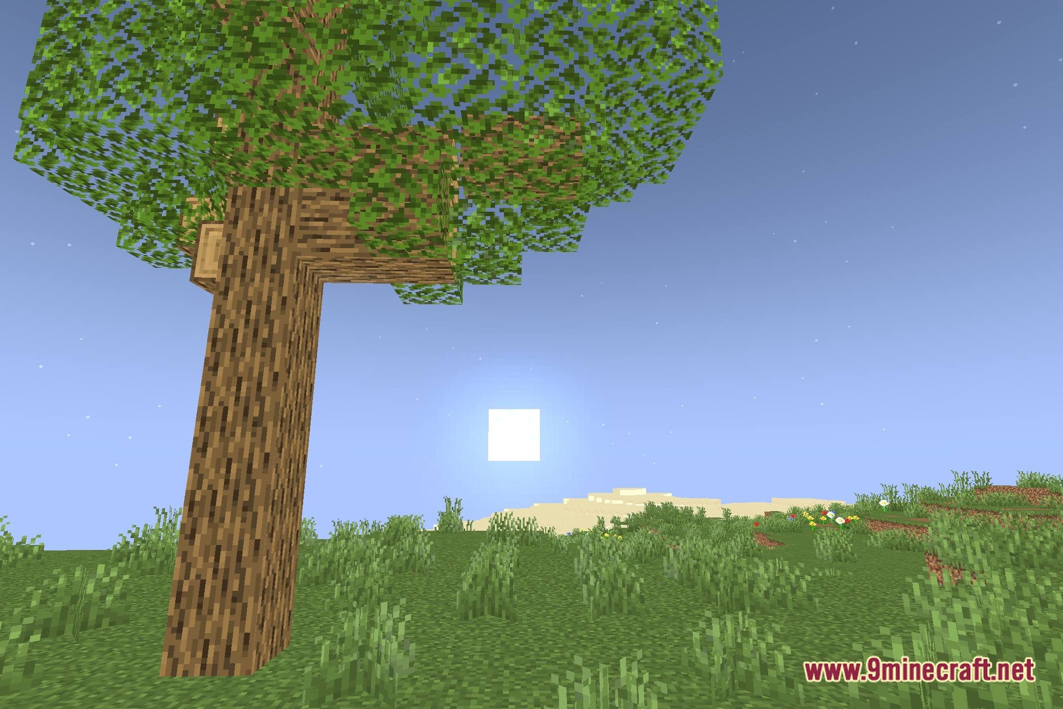 TrioShader Screenshot 4