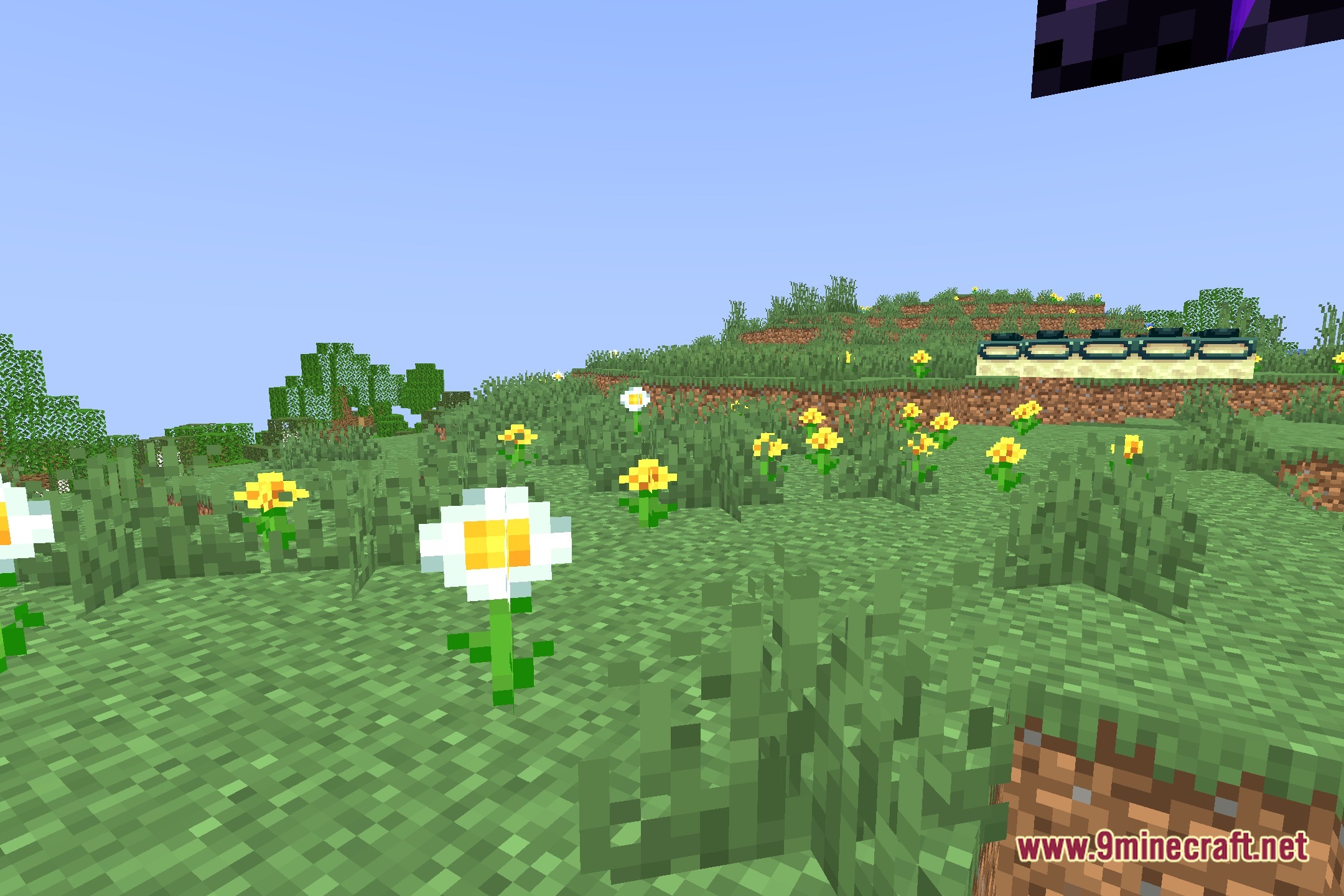 TrioShader Screenshot 5