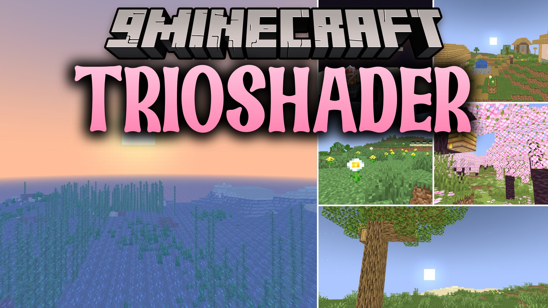 TrioShader