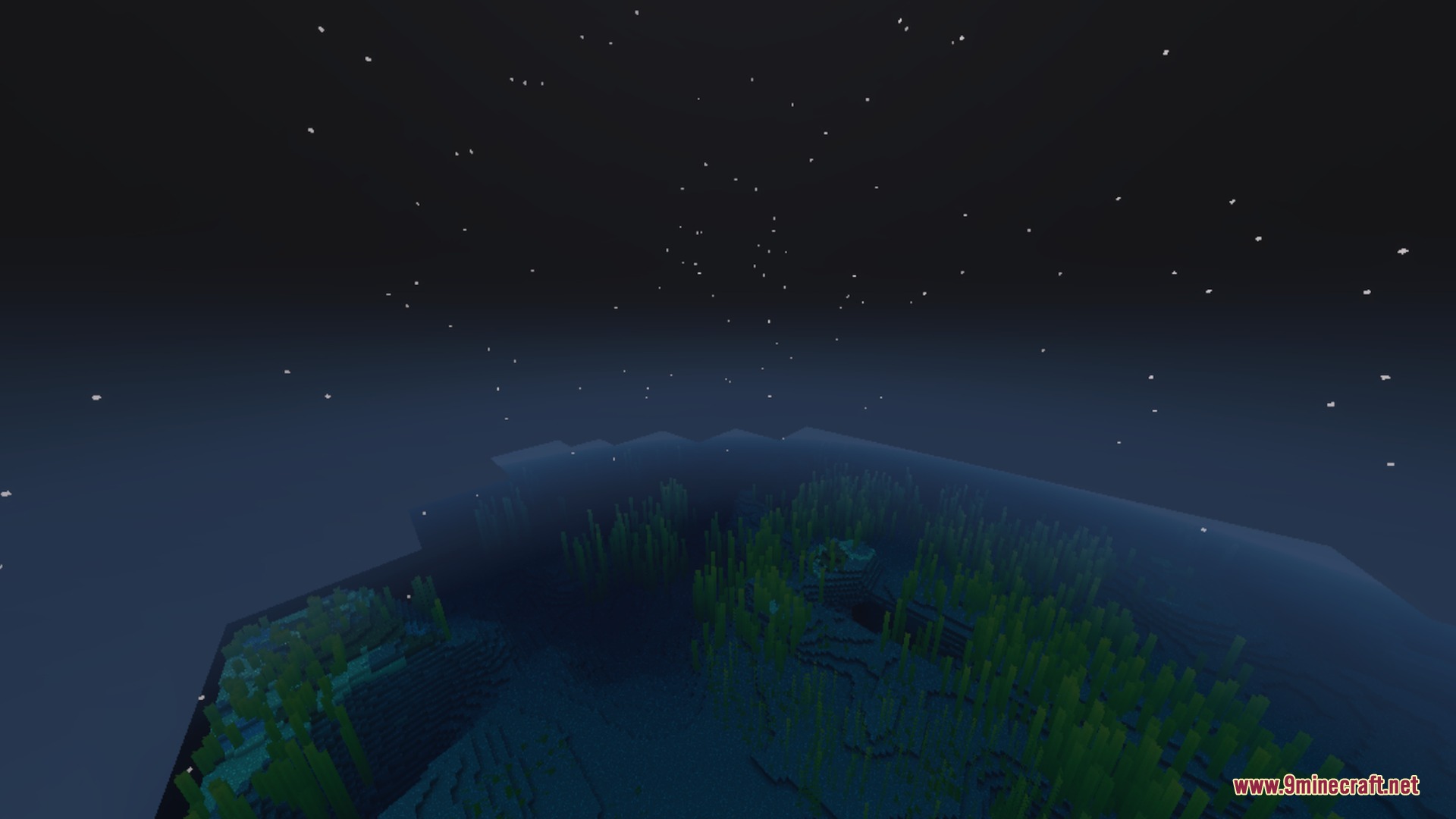 Stars shining in the night sky above a dark underwater kelp forest