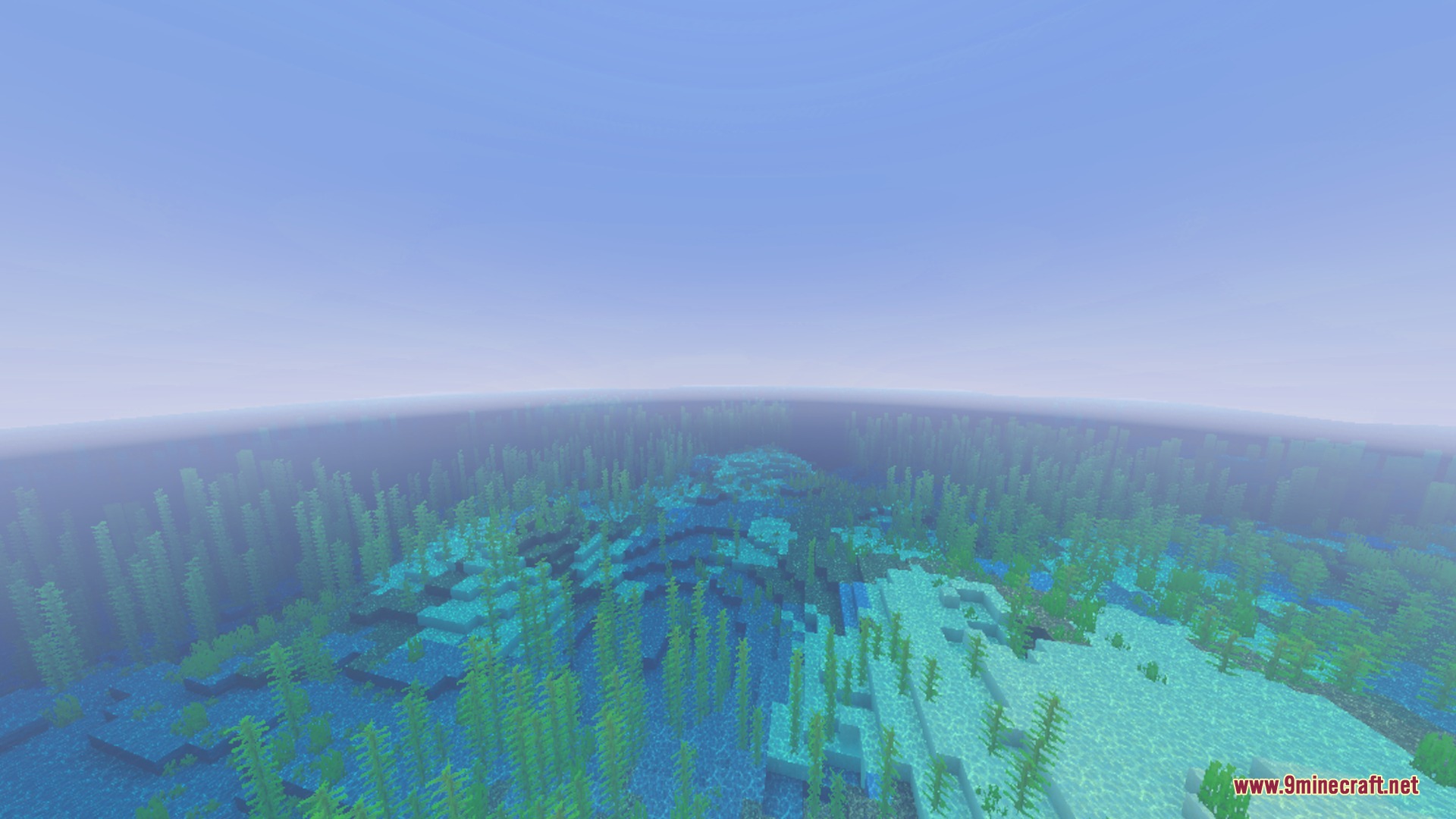 Bright sunlight and atmospheric fog over a lush green underwater kelp forest