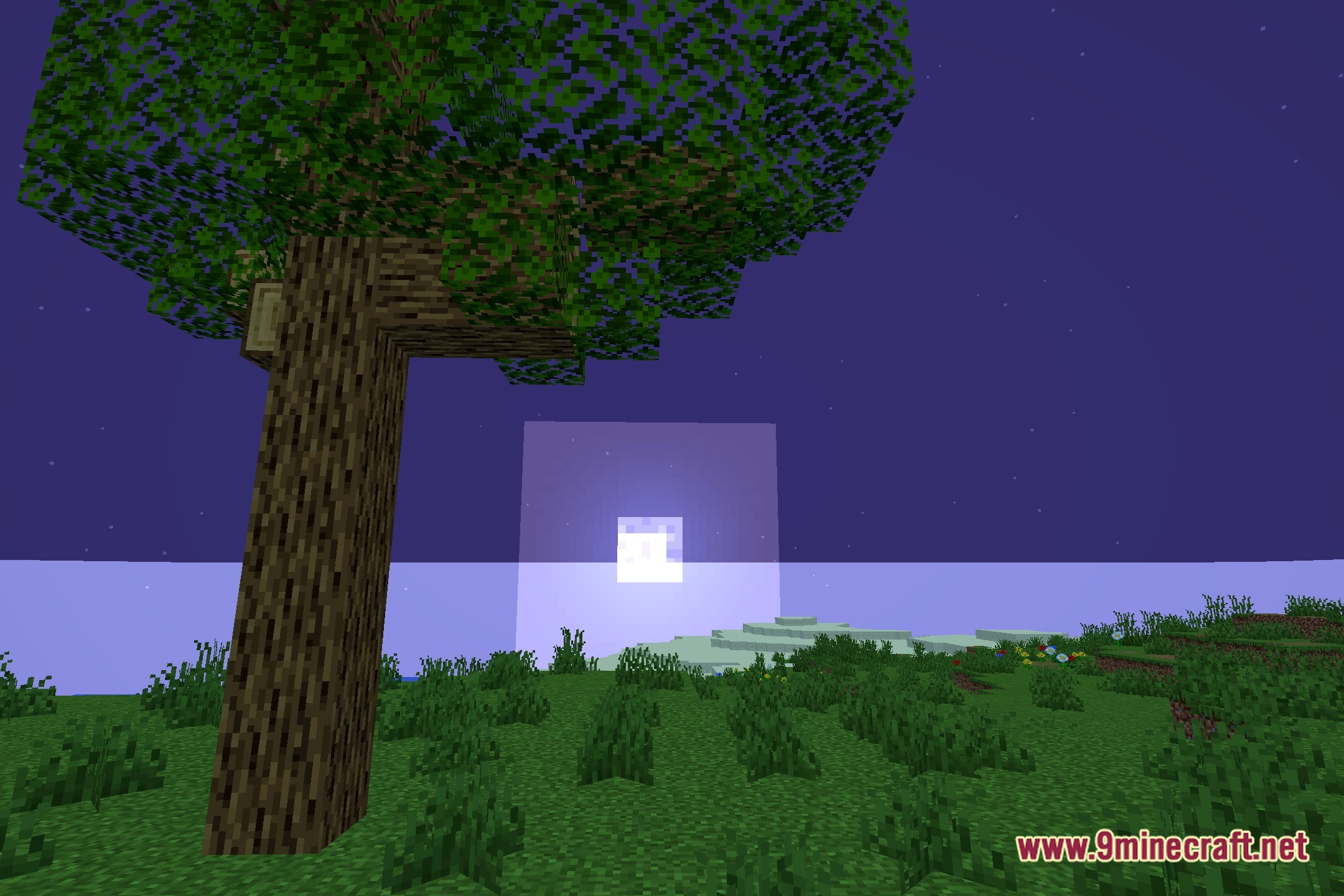 ULS Shaders Screenshot 4