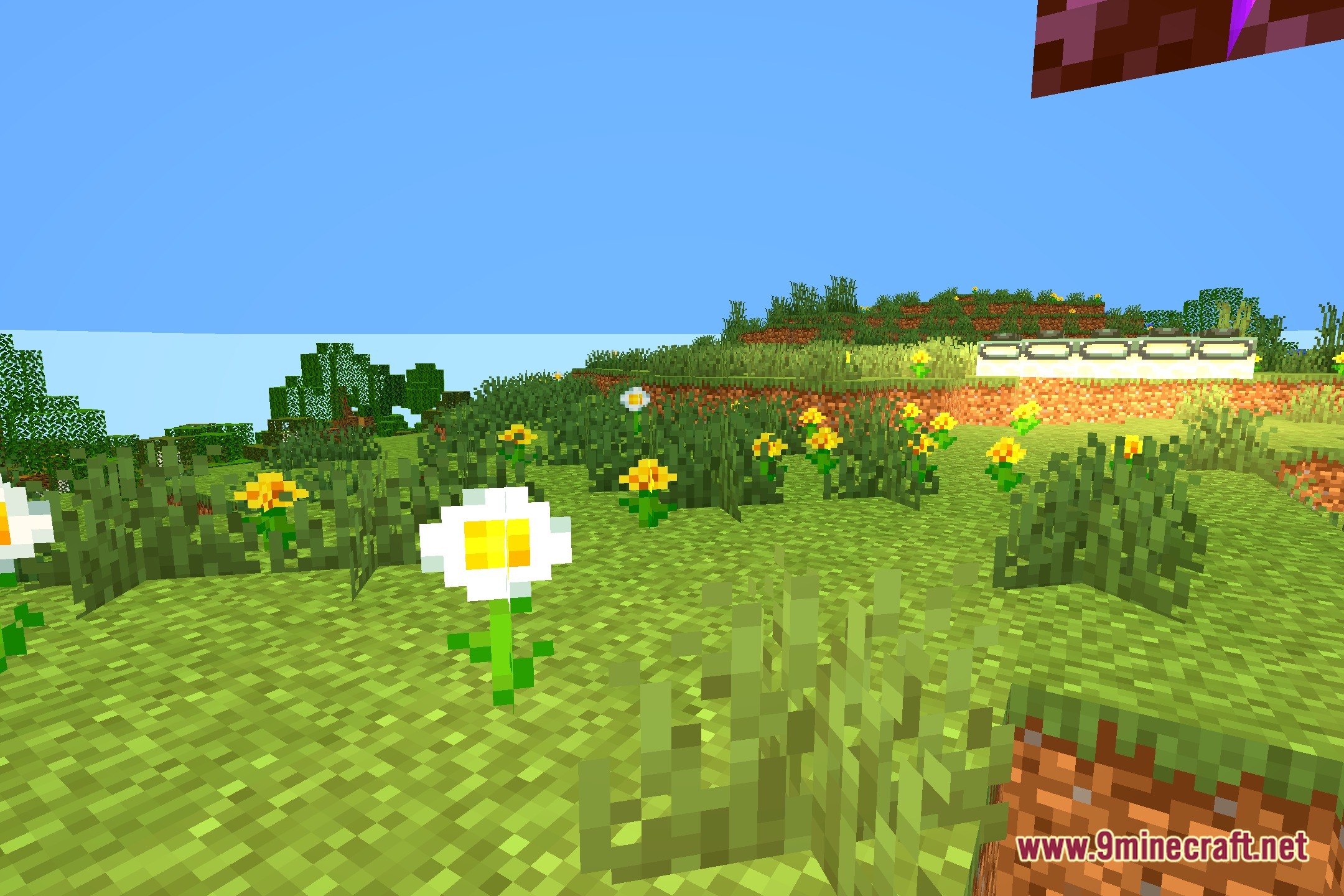 ULS Shaders Screenshot 5