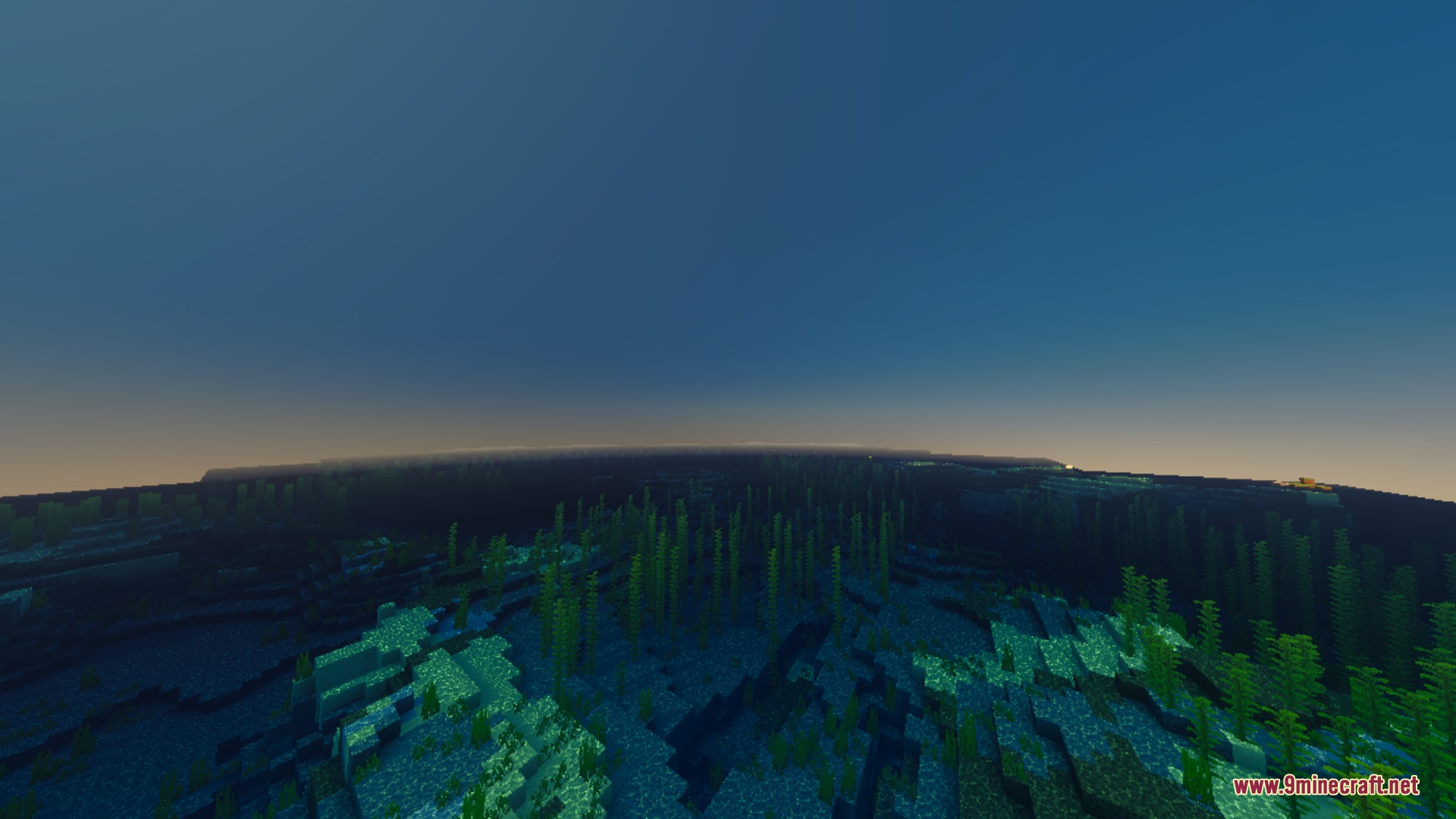 Ultimate Vibrant Visuals Shader Screenshot 1 Tall green kelp growing on the seabed under a clear blue ocean surface