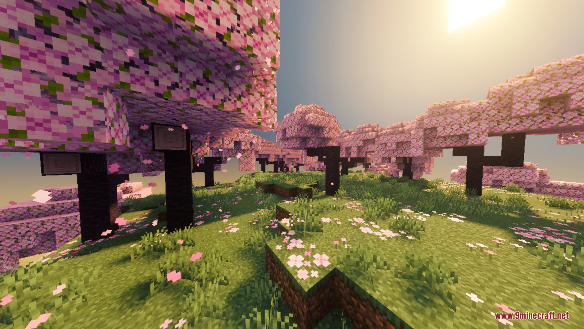Ultimate Vibrant Visuals Shader Screenshot 6 Pink cherry blossom trees in a grove under bright and warm sunlight