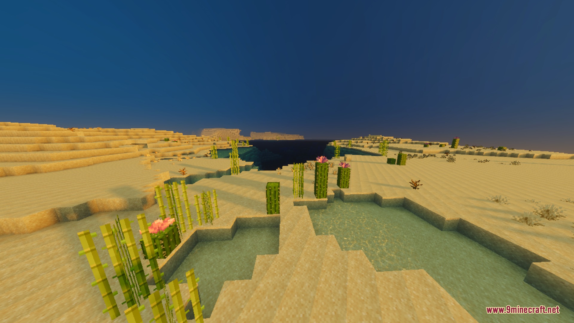 Ultimate Vibrant Visuals Shader Screenshot 9 Warm golden sunlight illuminates a desert landscape with clear water and flowering cacti