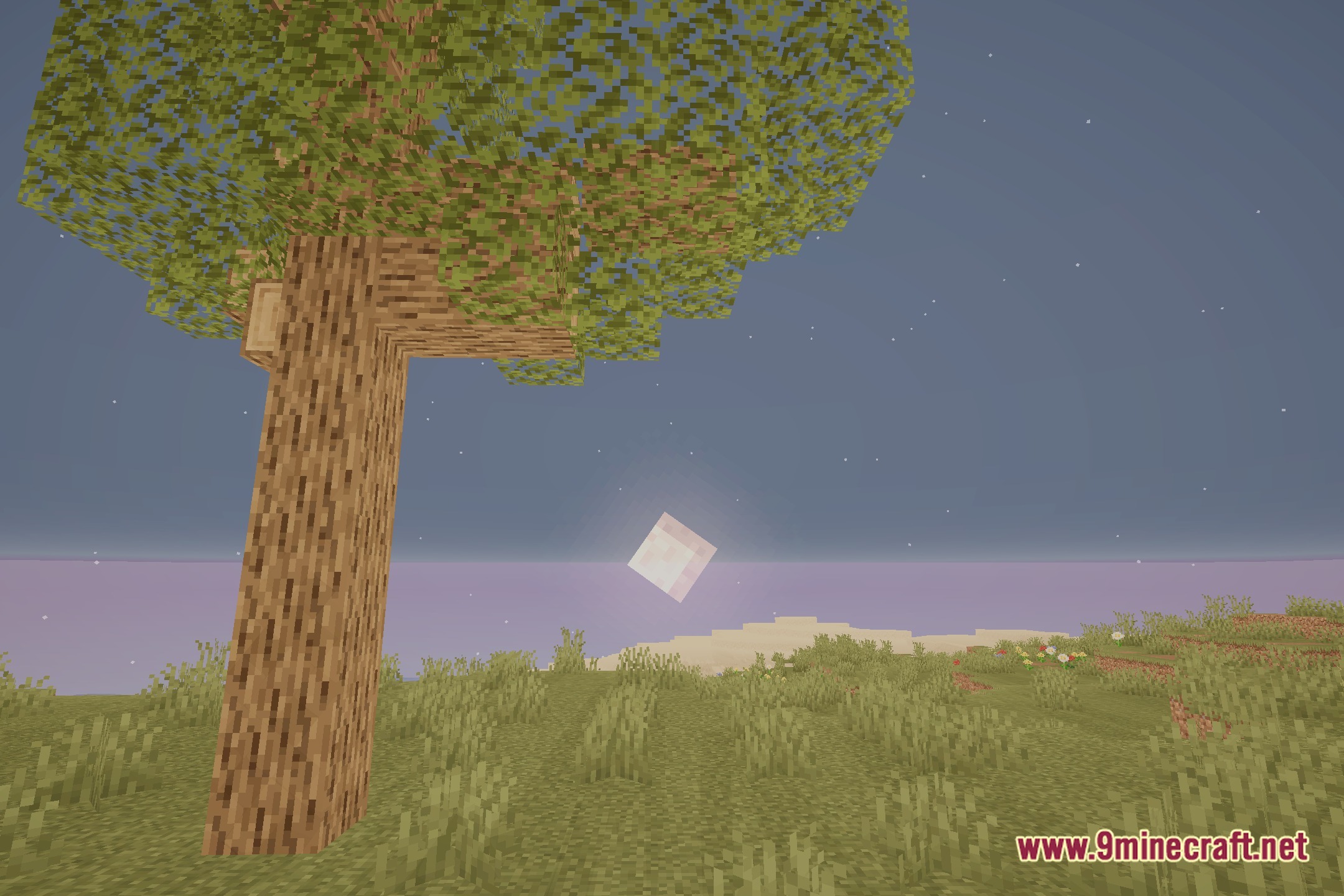 VableVanilla Shaders Screenshot 4