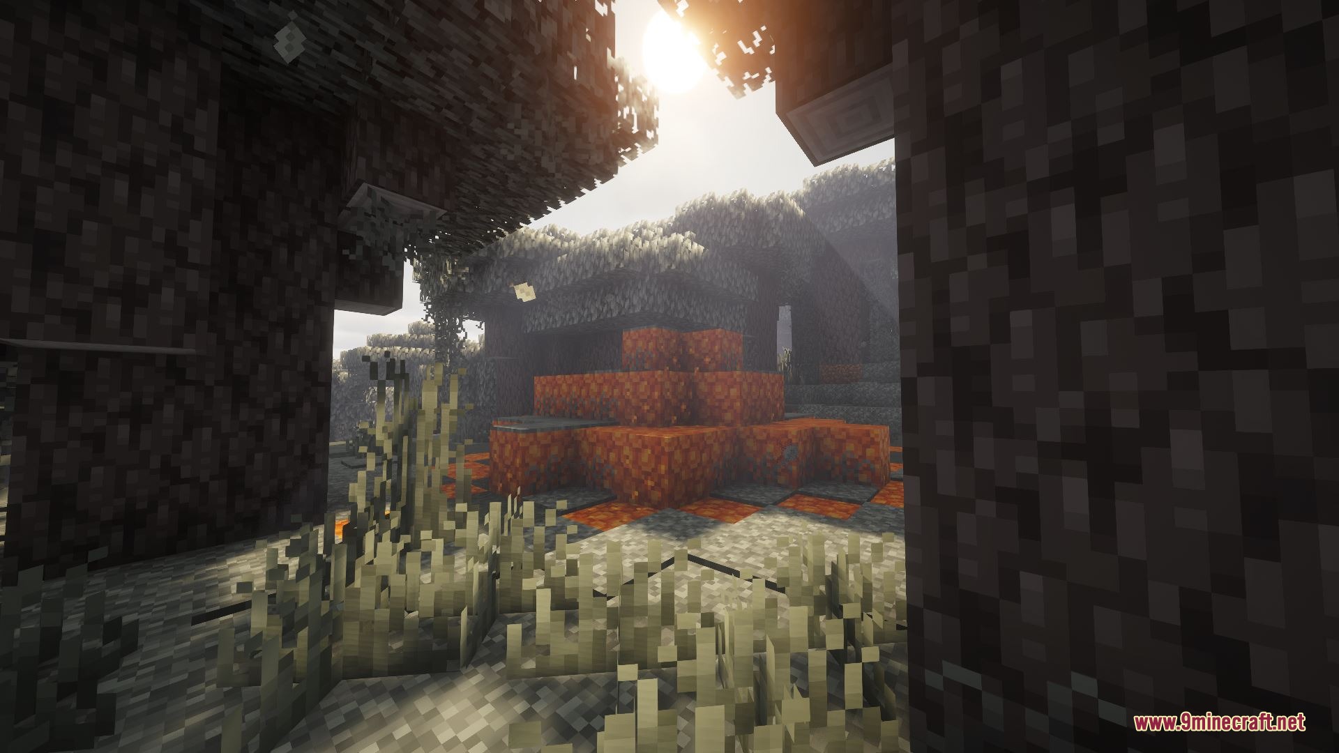 A hidden structure with glowing magma blocks found in a dense forest