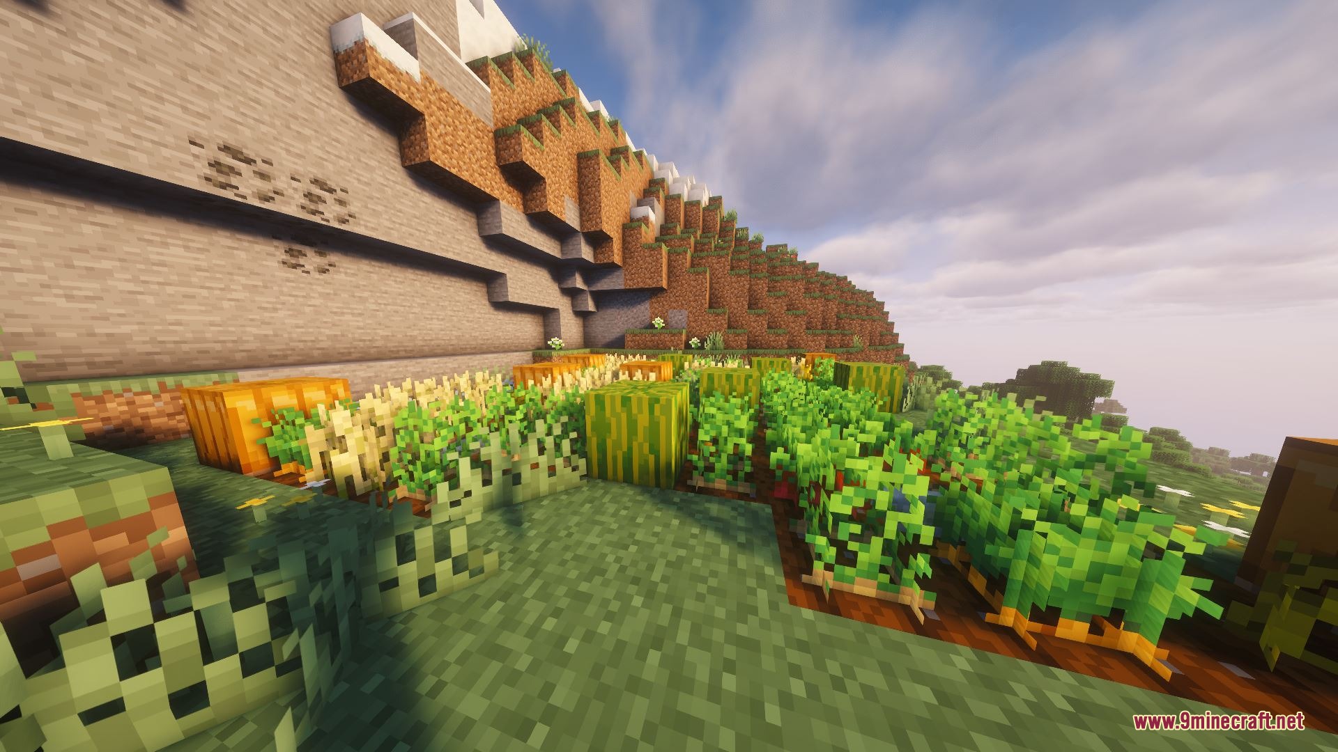 A terraced farm with various crops growing next to a stone cliff