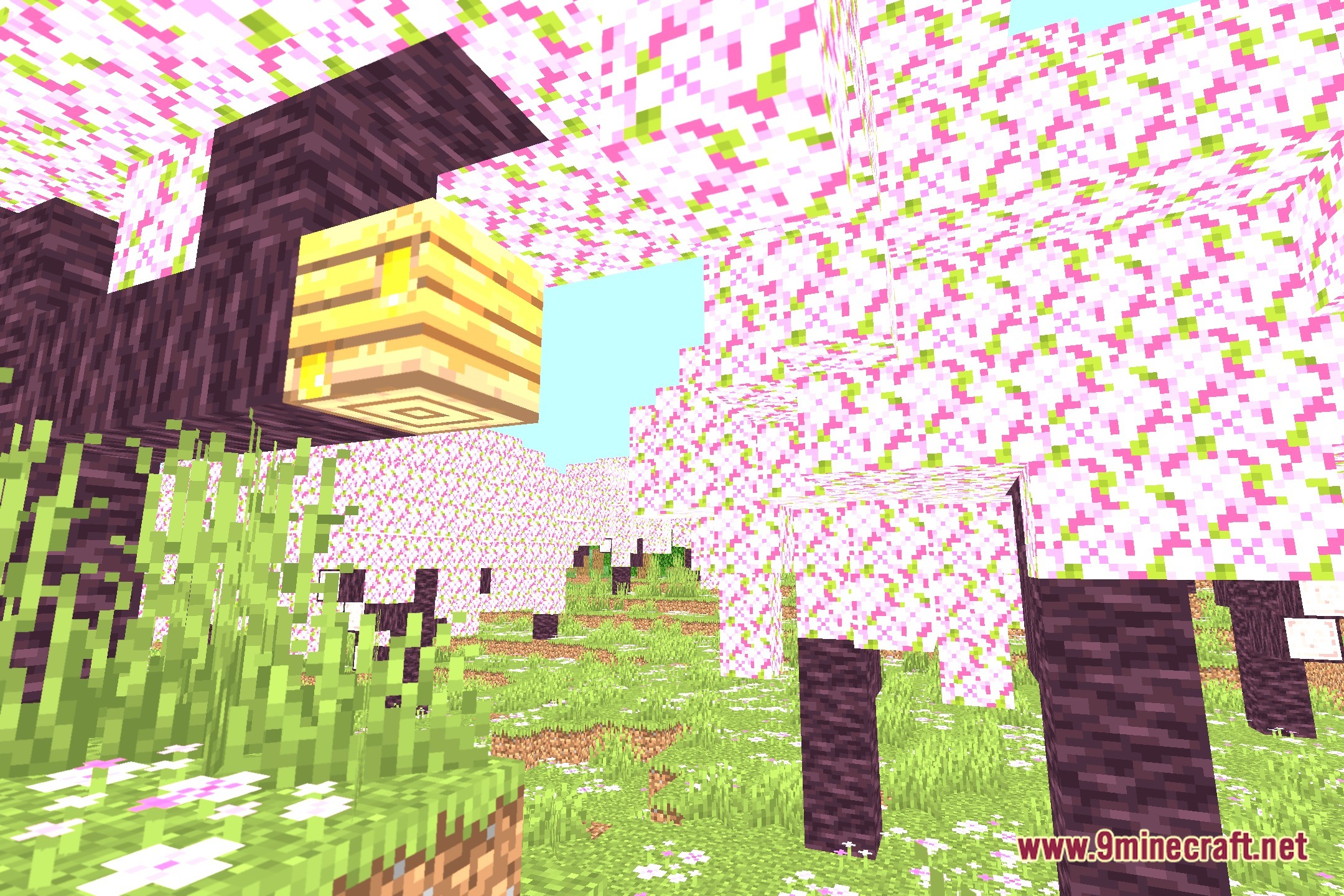 Vanilla Camera Focus CT Shaders Screenshot 1