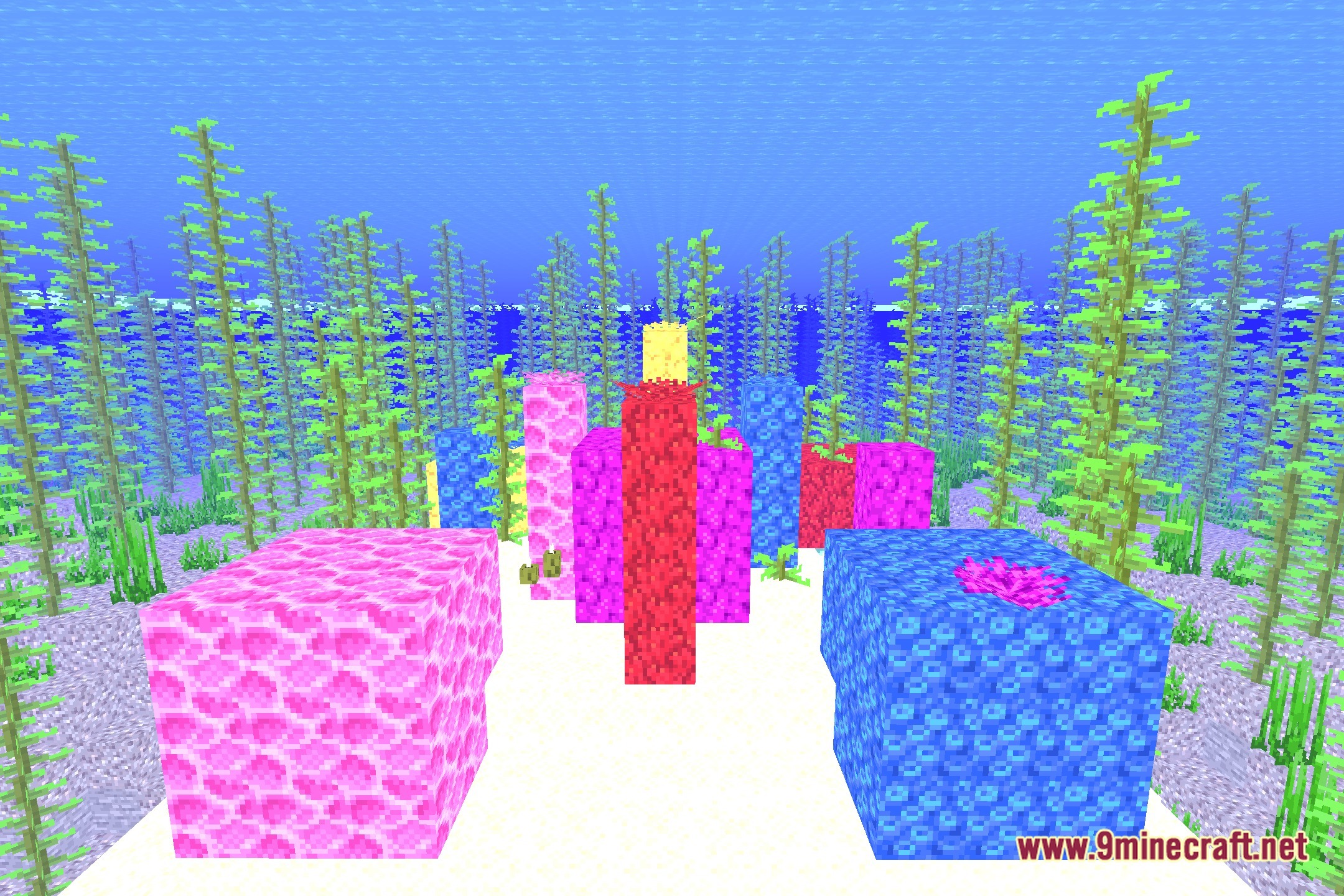 Vanilla Camera Focus CT Shaders Screenshot 10