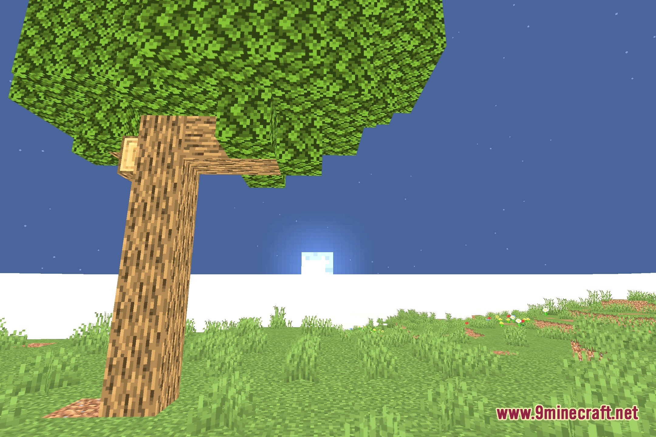 Vanilla Camera Focus CT Shaders Screenshot 4