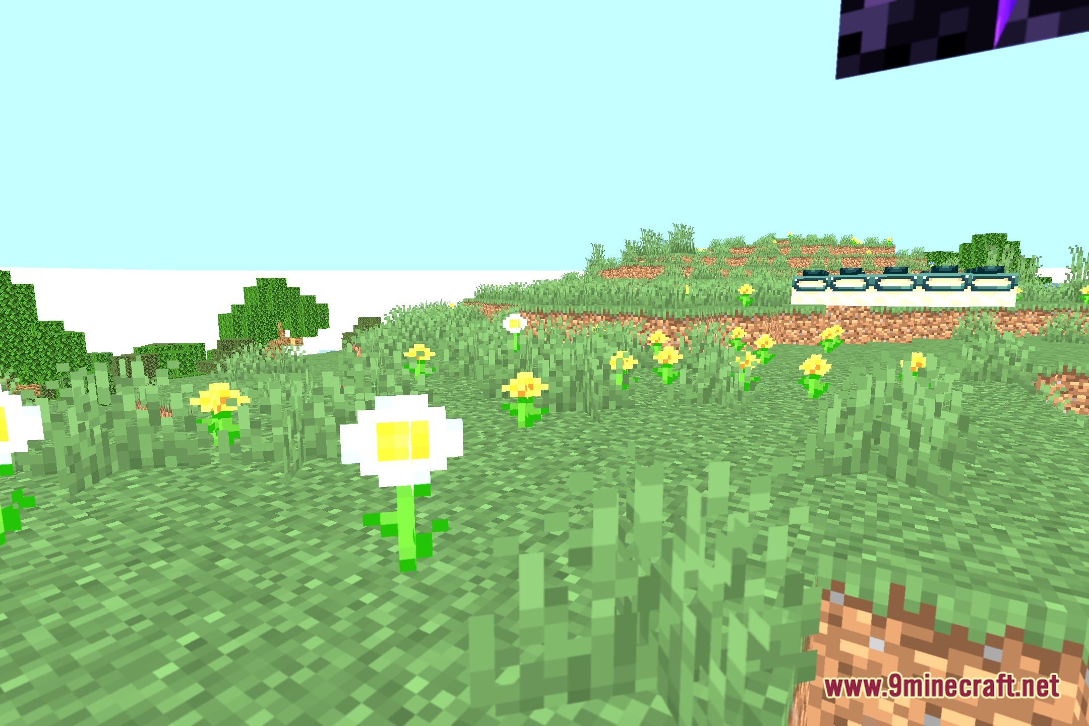 Vanilla Camera Focus CT Shaders Screenshot 5