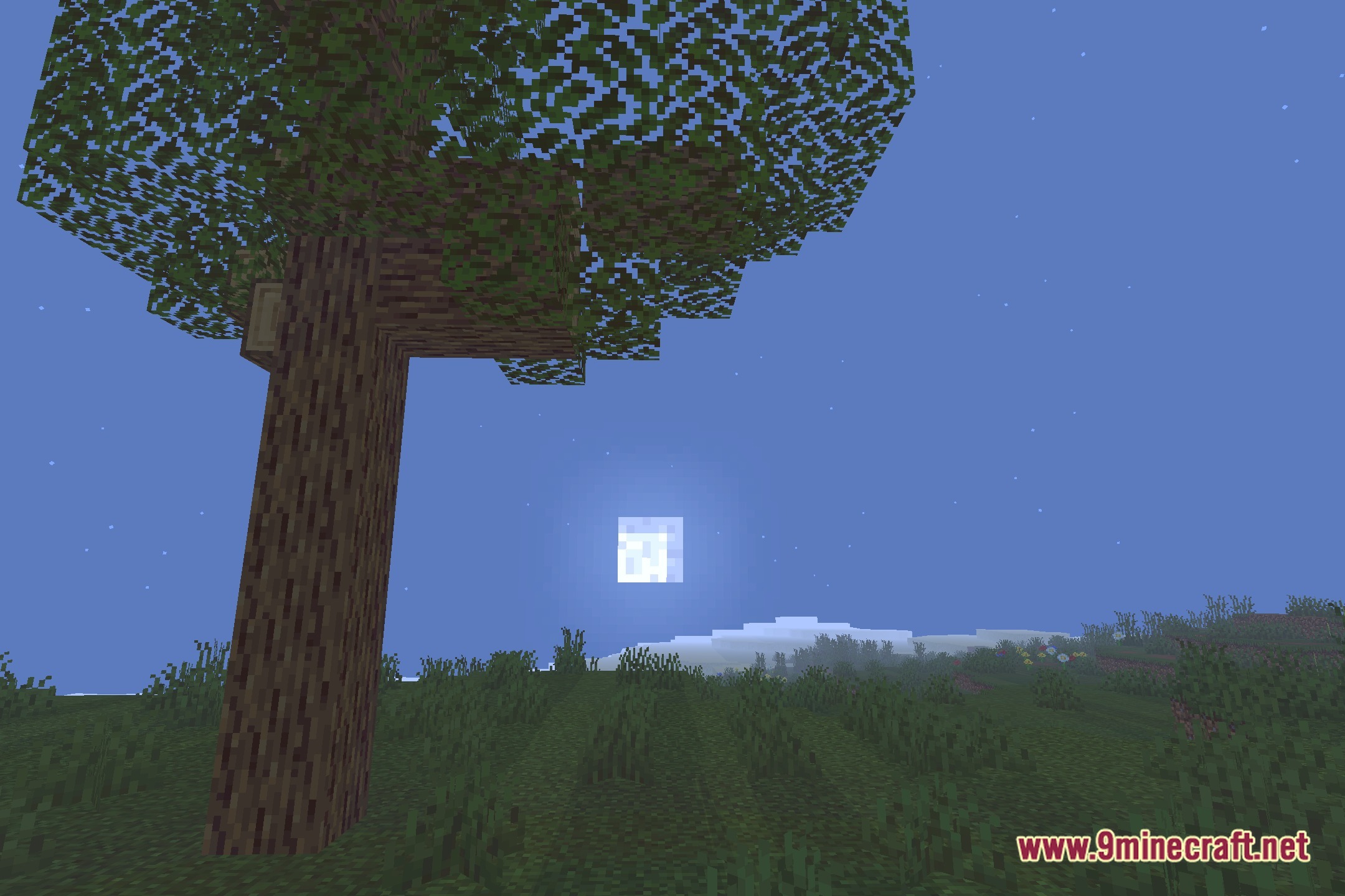 Vanilla Shading Renewed Shaders Screenshot 4