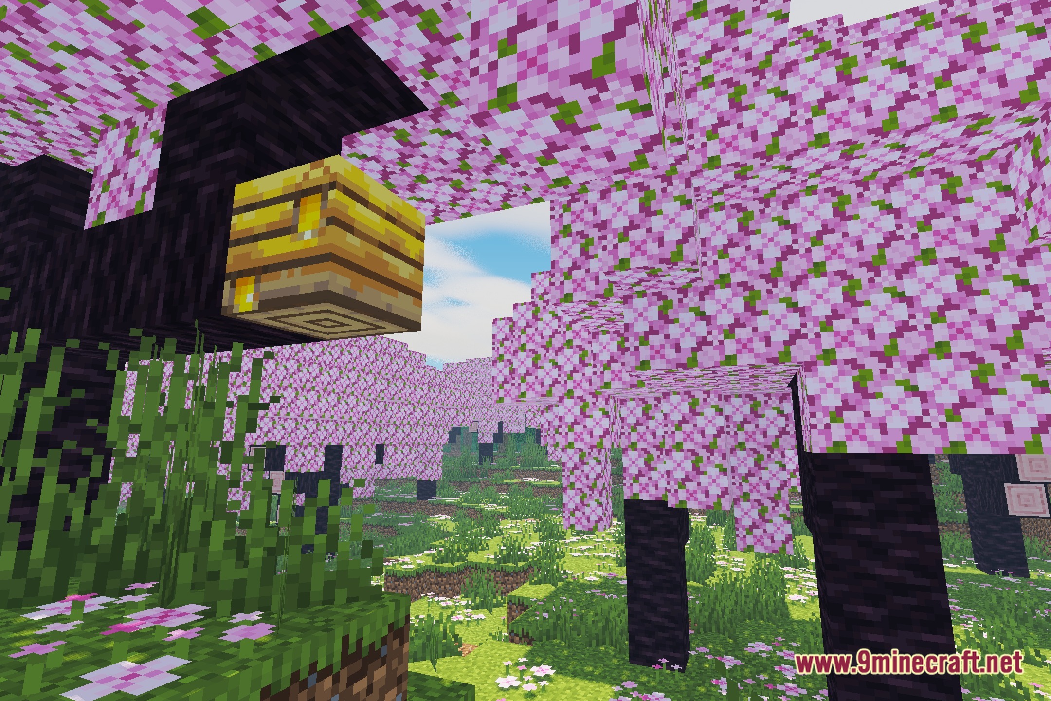 Veylora Shaders Screenshot 1