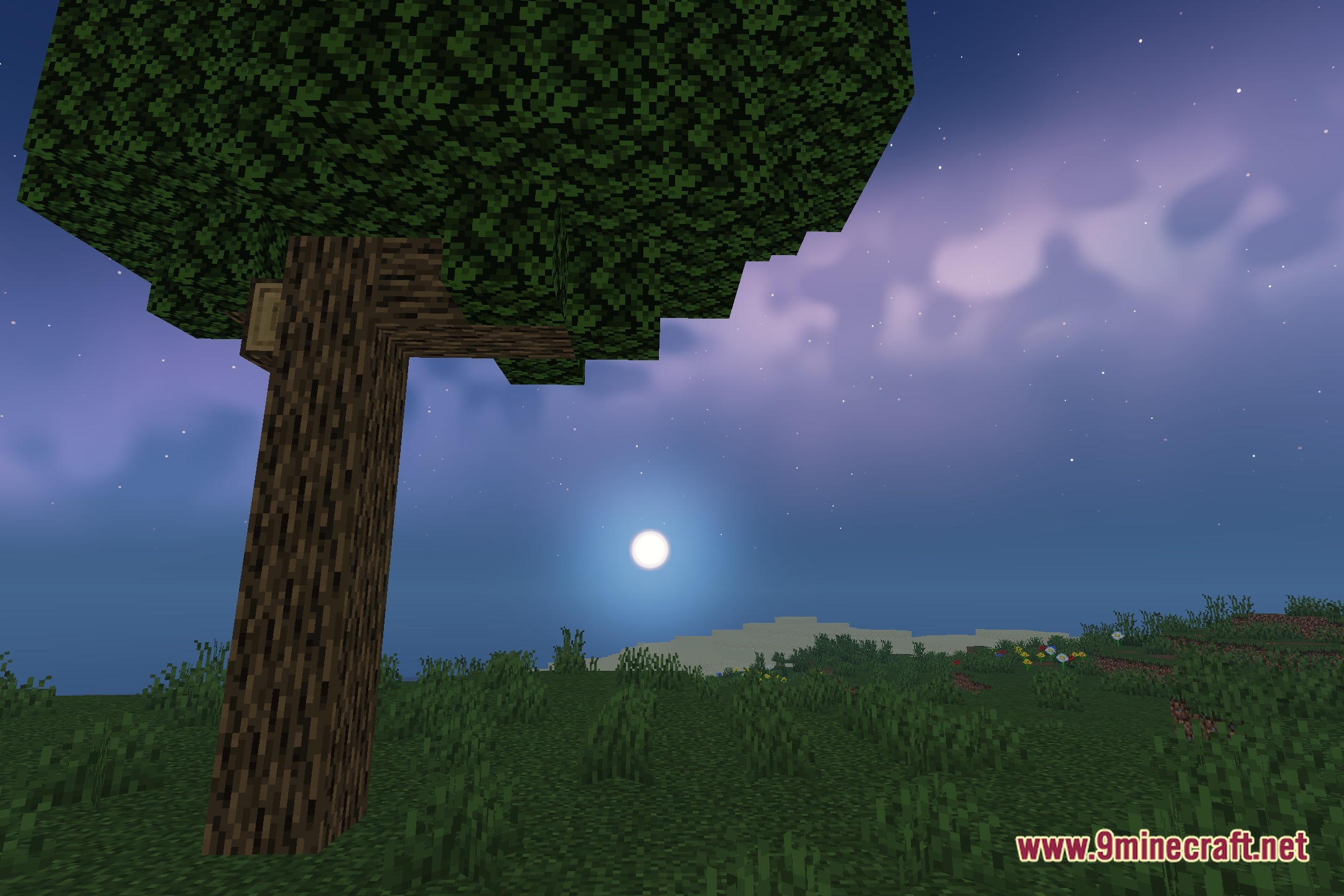 Veylora Shaders Screenshot 4