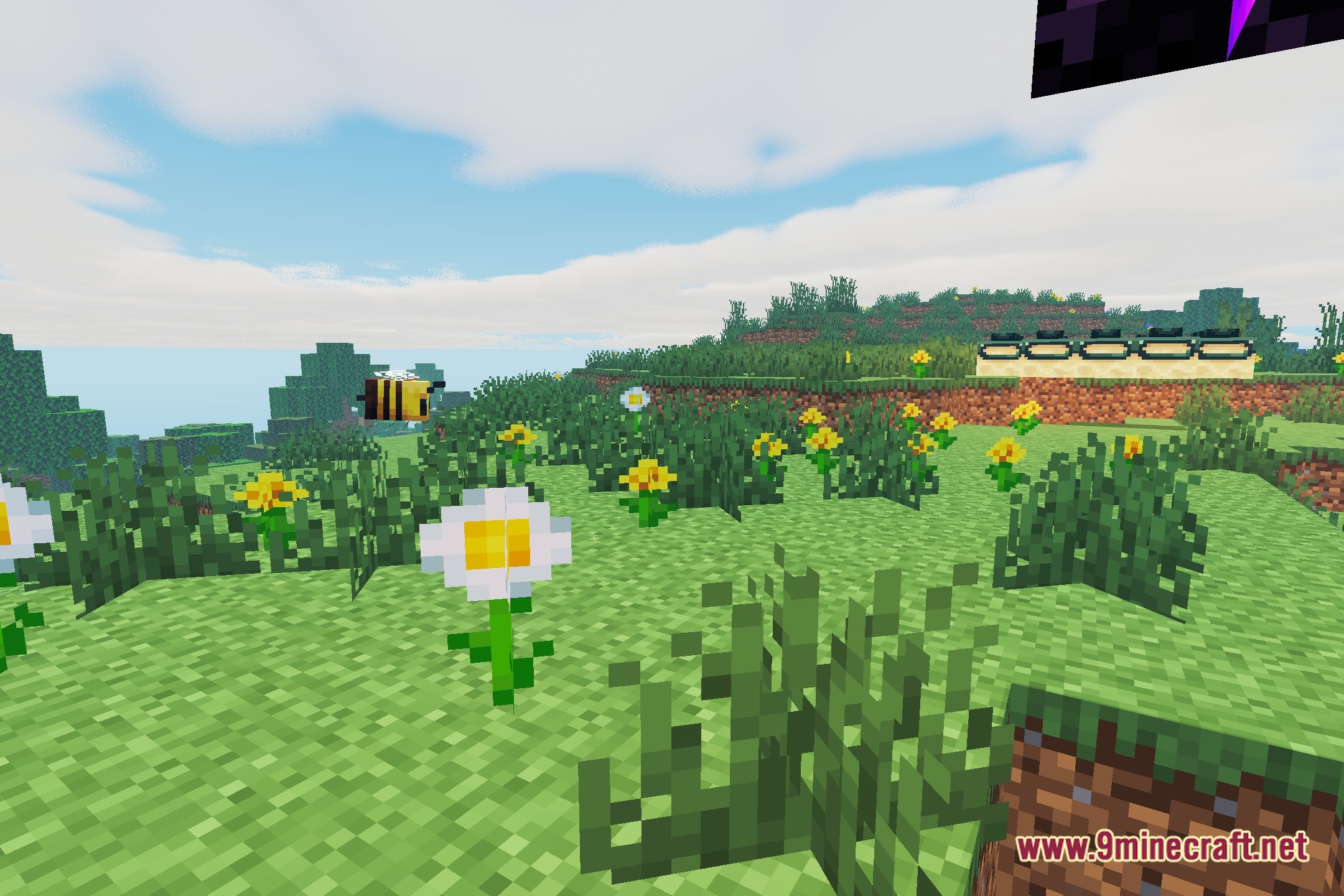Veylora Shaders Screenshot 5