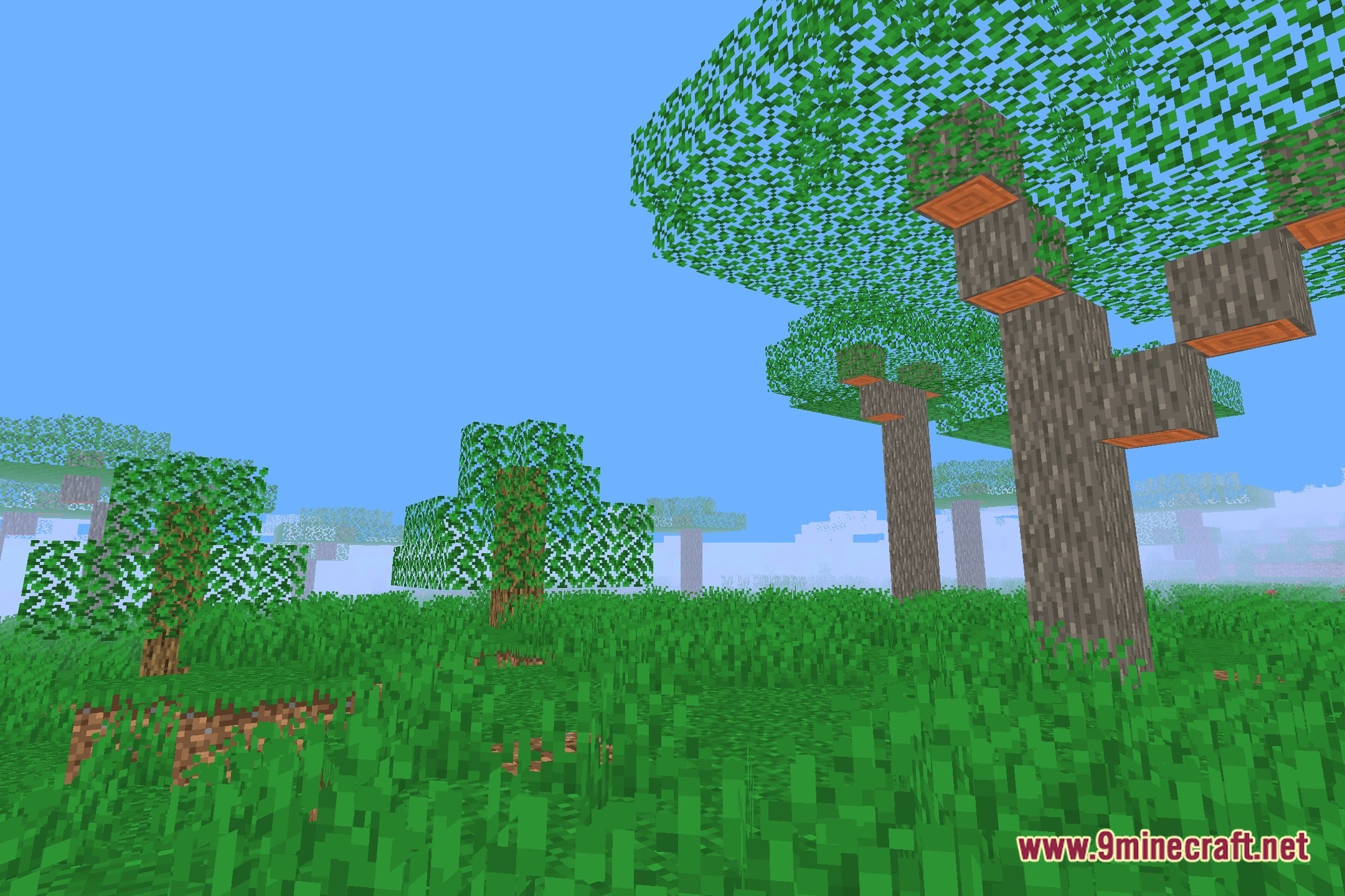 Vibes2019shaders Screenshot 12
