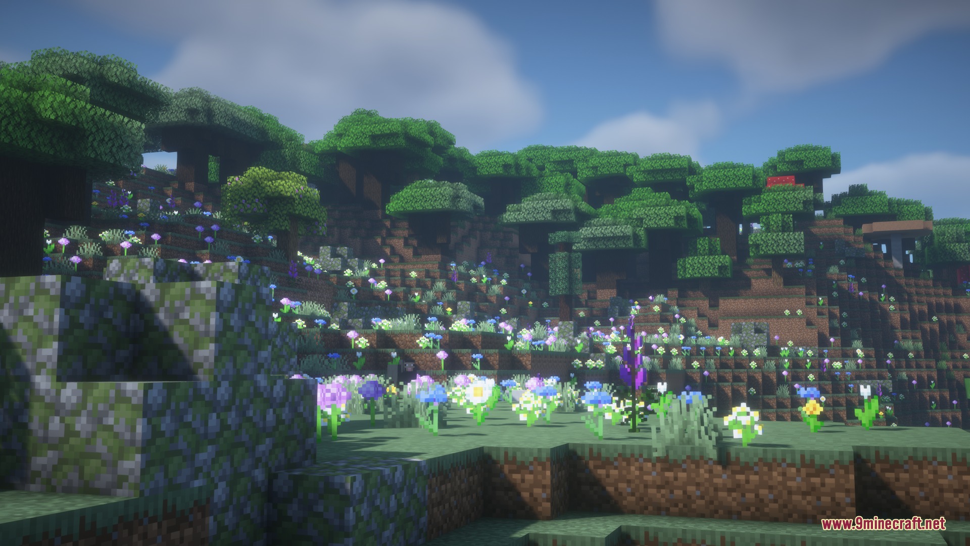 Vibrant Biome Exploration Mod Screenshot 3