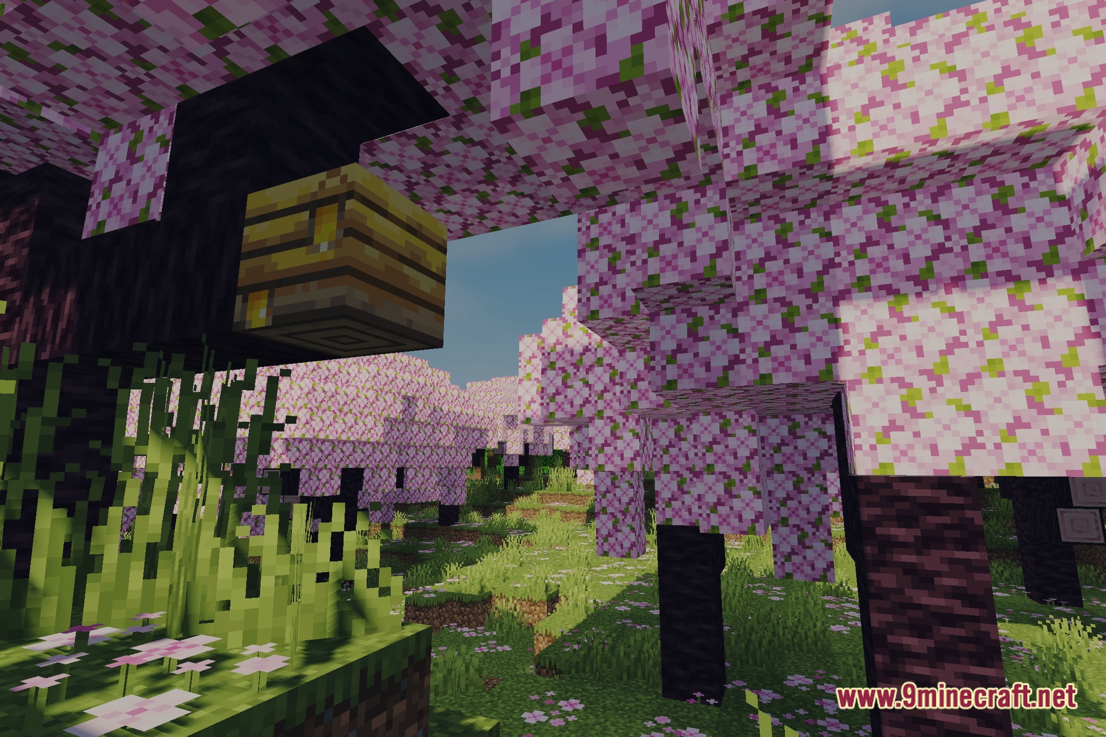 Vibrant Cinematic Rays Shaders Screenshot 1