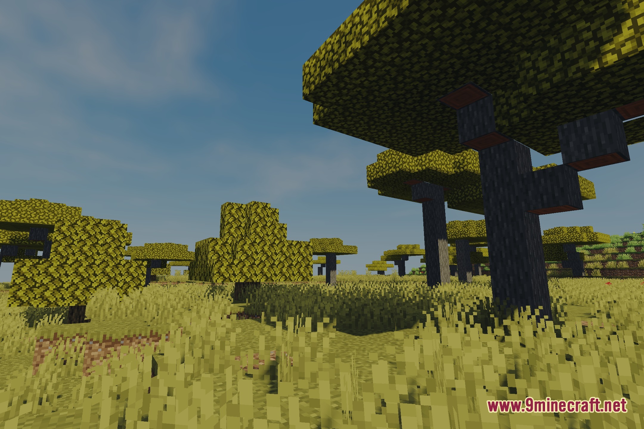 Vibrant Cinematic Rays Shaders Screenshot 11