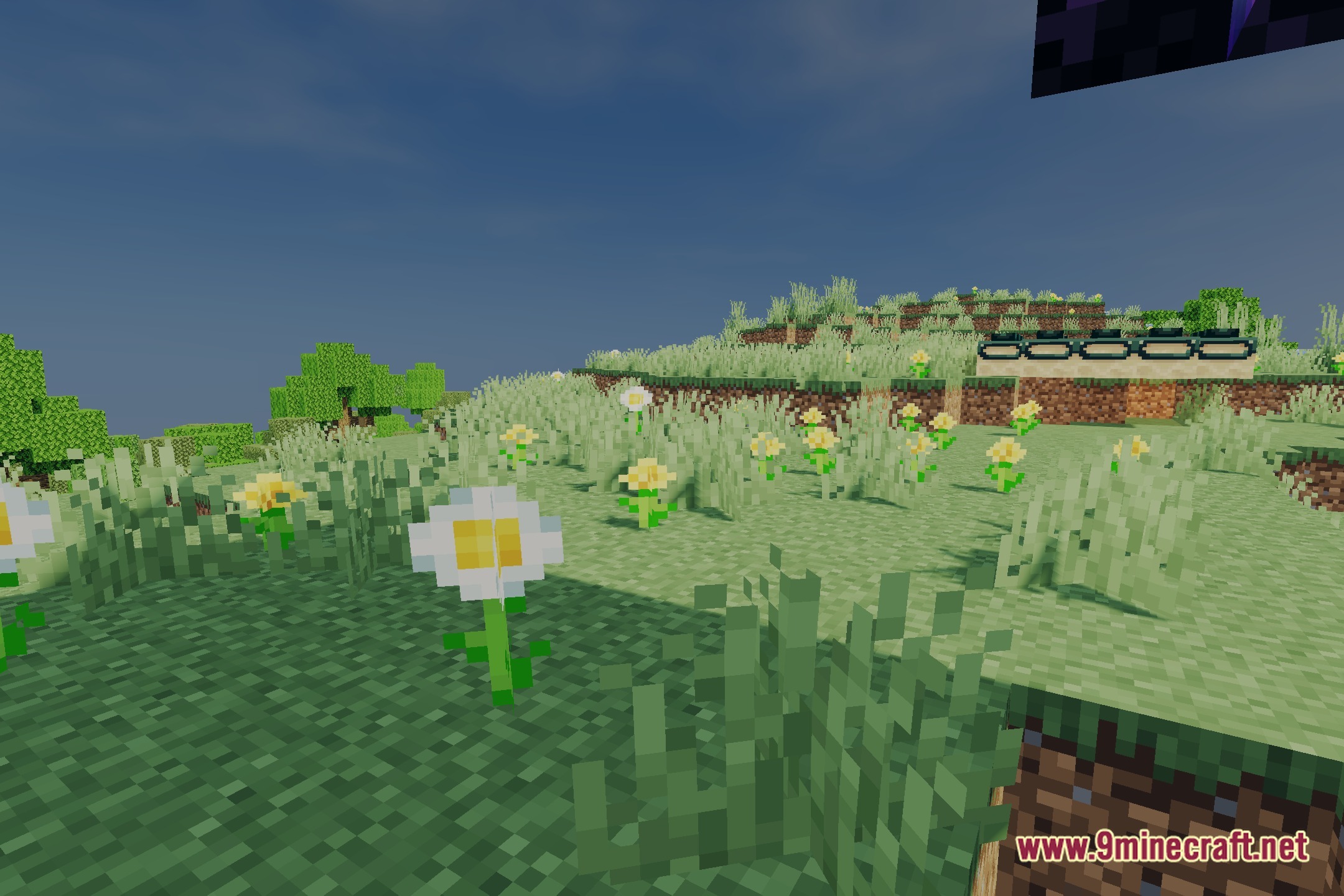 Vibrant Cinematic Rays Shaders Screenshot 4