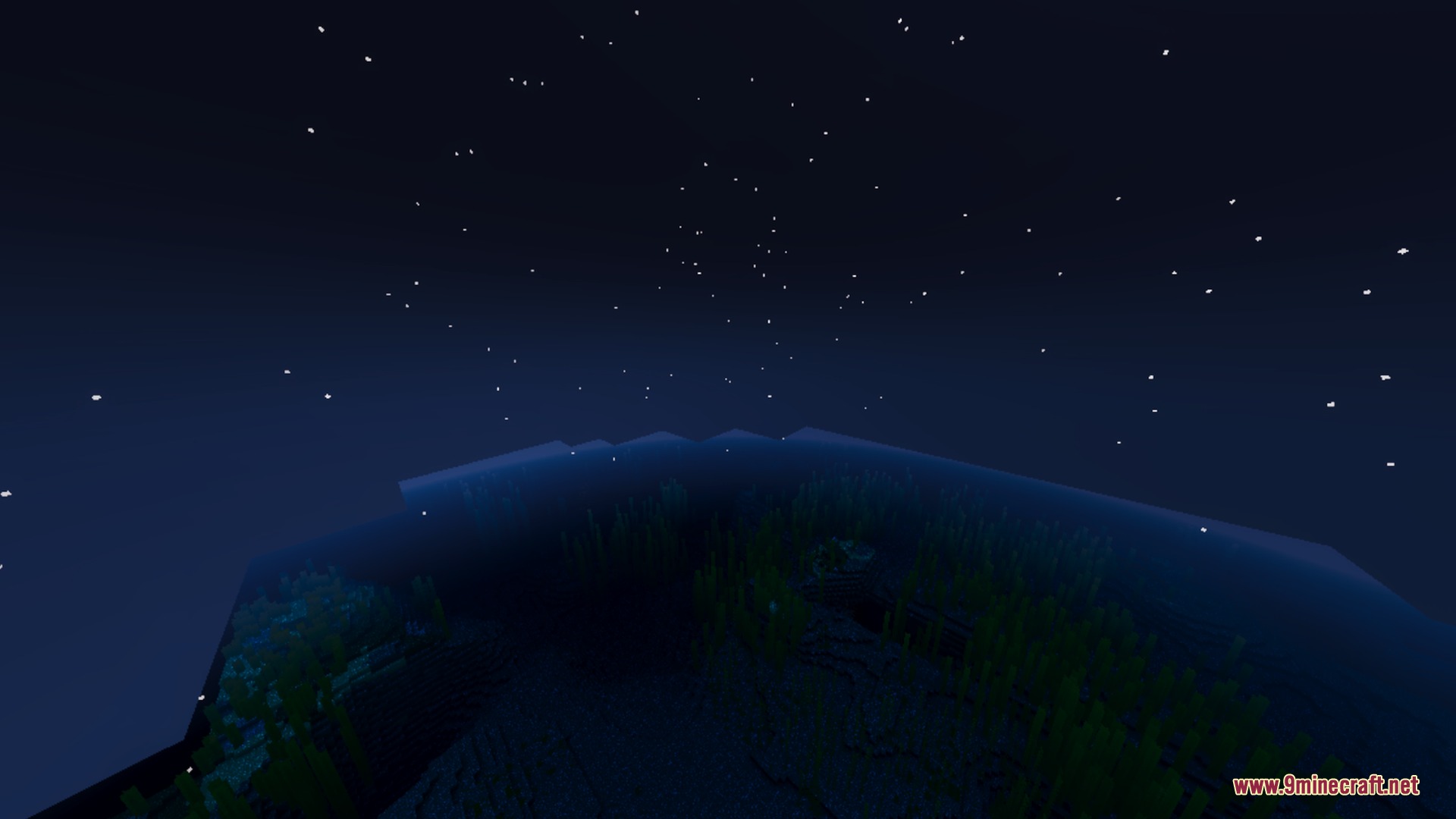 Vibrant Legacy L Espace Shader Screenshot 5 Dark underwater kelp forest under a starry night sky in Minecraft