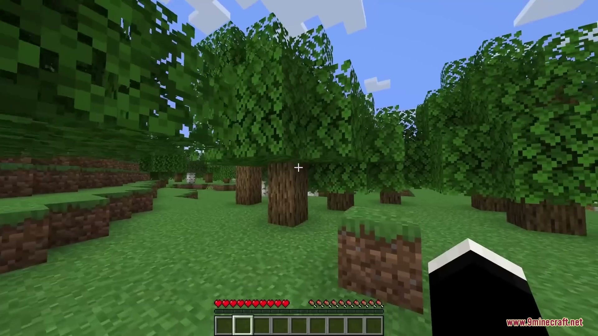 Vigor and Voids Mod Screenshot 11 A stamina bar overlays the health hearts in a dense oak forest