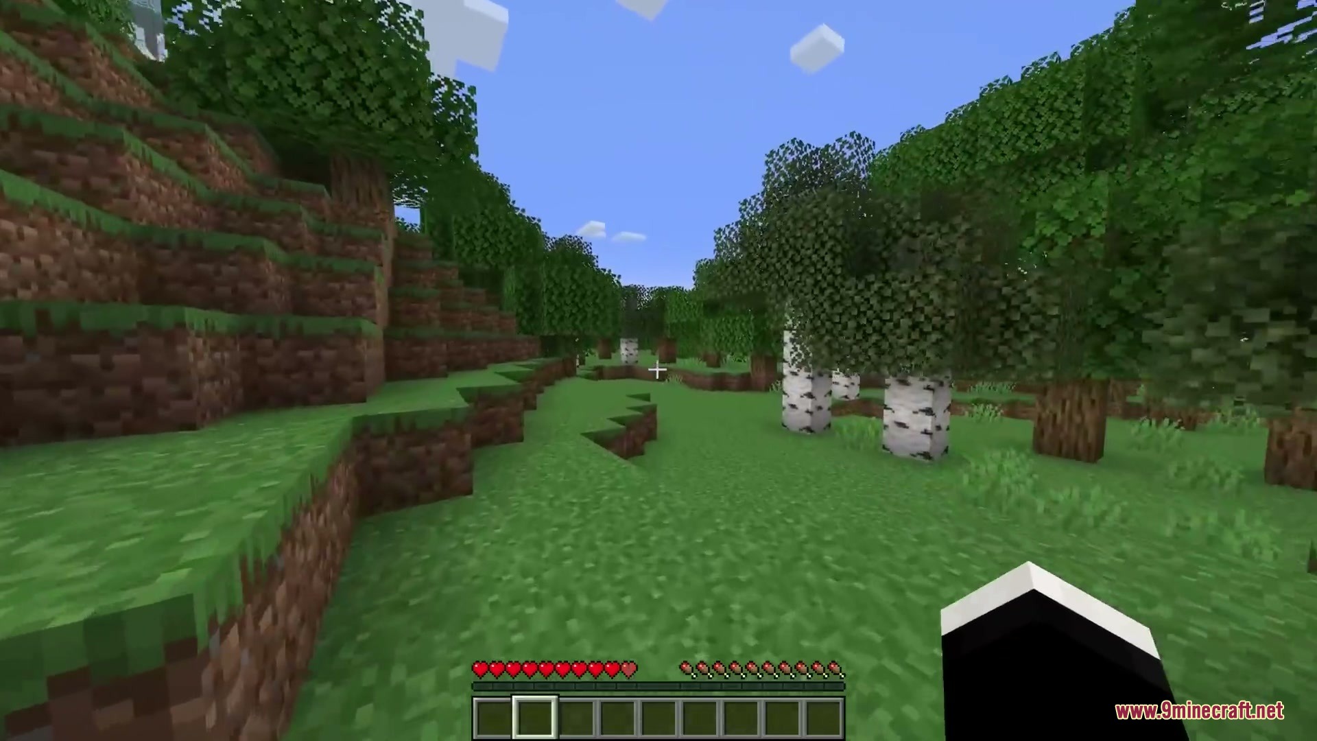 Vigor and Voids Mod Screenshot 12 Player explores a birch forest with the energy meter over health hearts