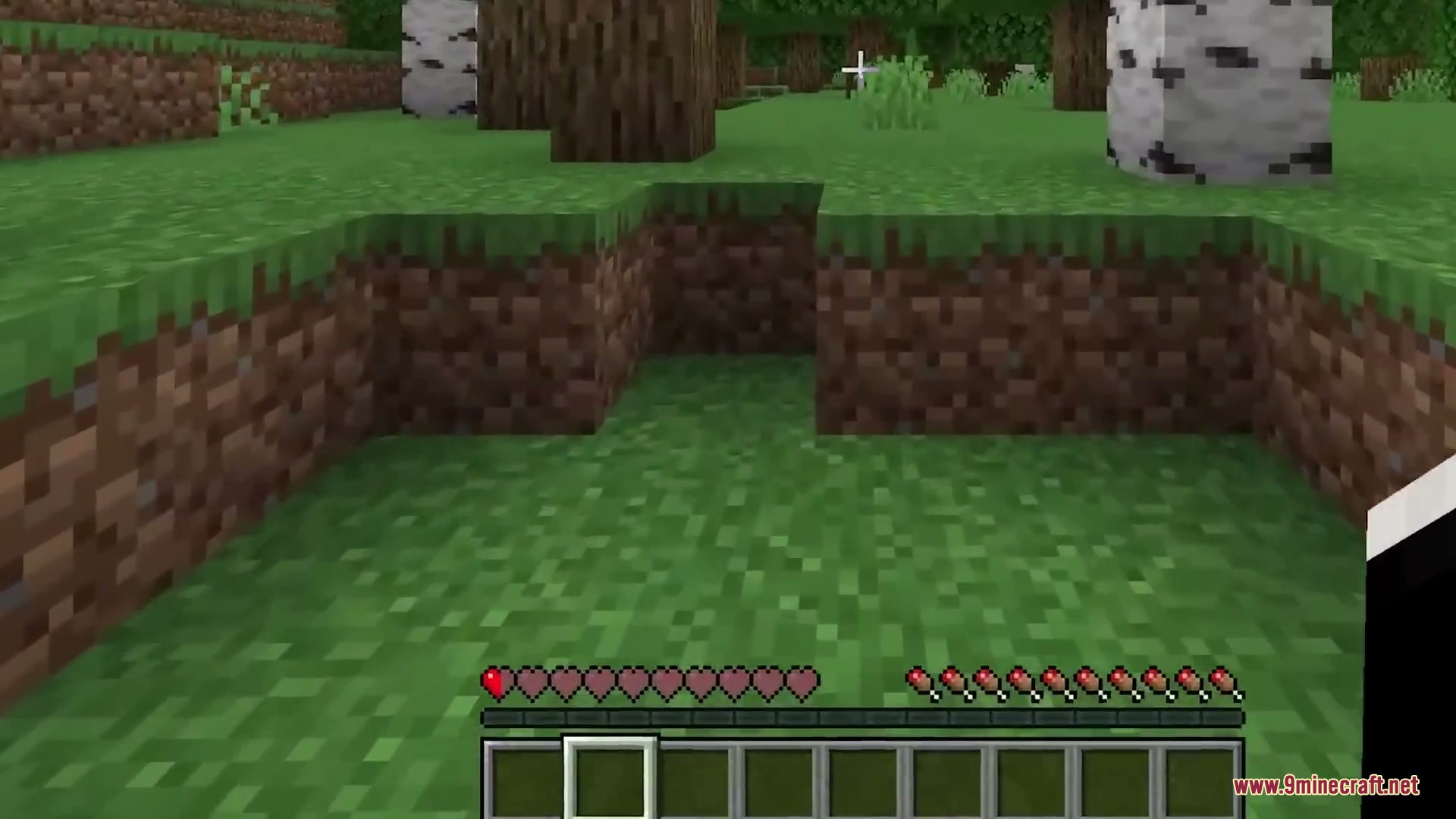 Vigor and Voids Mod Screenshot 13 Stamina meter overlaying health hearts while standing in a grassy forest area