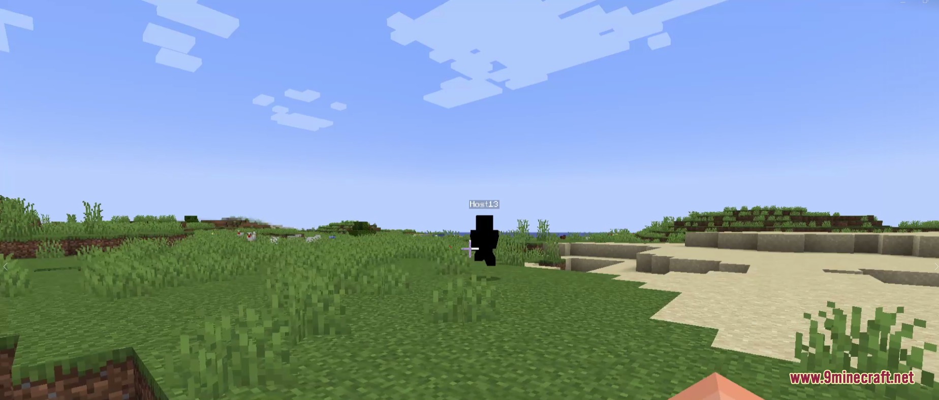 Vile Genesis Mod Screenshot 4 A mysterious black silhouette named Host13 standing in a grassy field