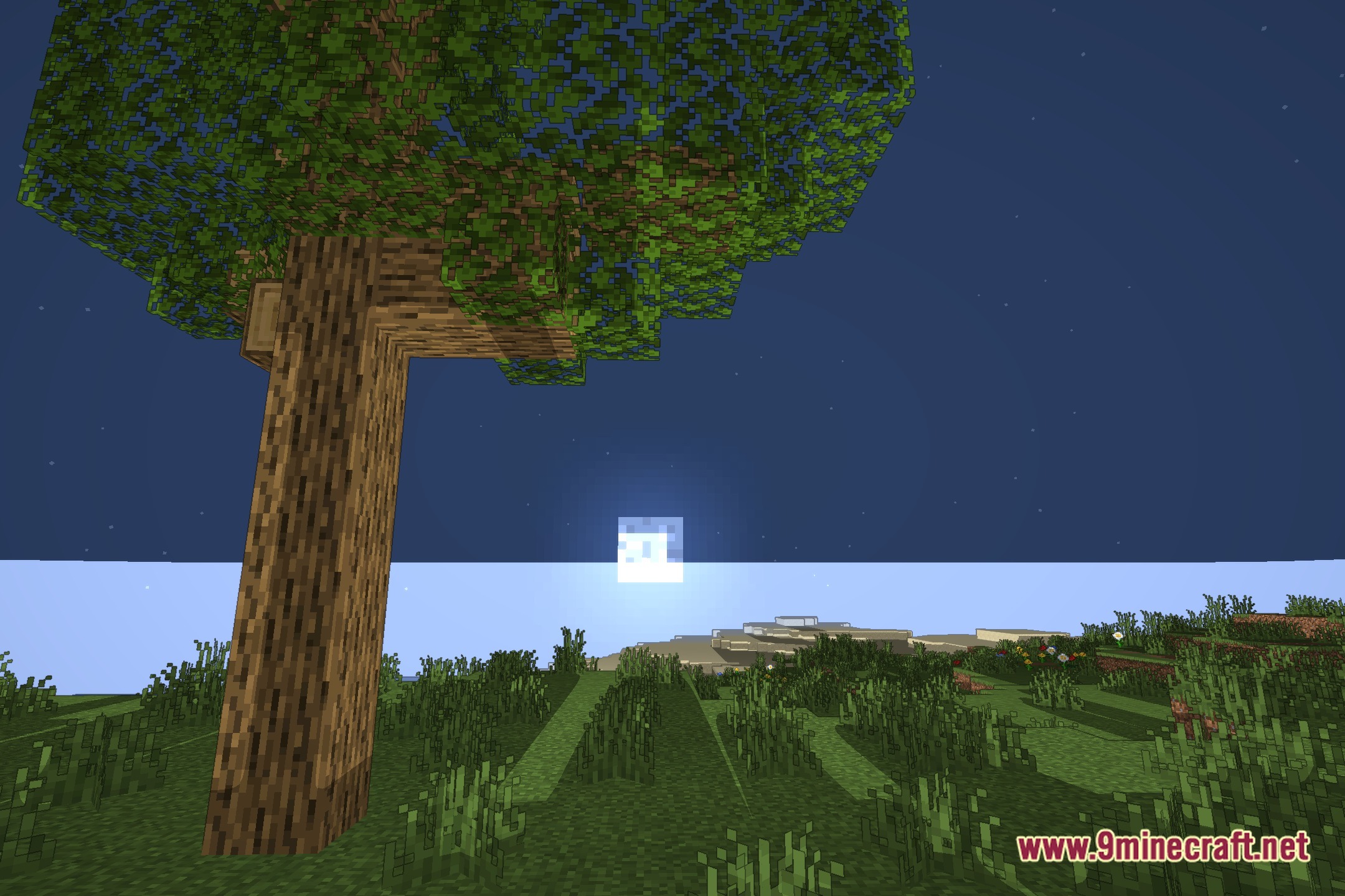 VineC's Cartoony Shaders Screenshot 4