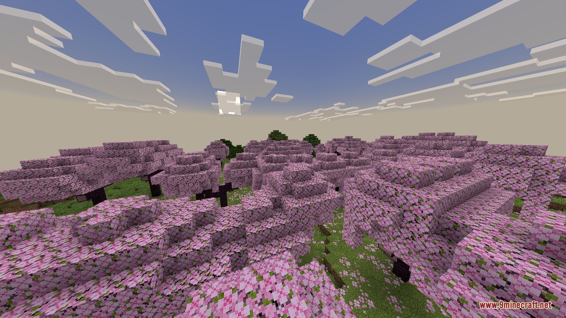 Cherry blossom trees with smooth shadows under a soft sky in a Minecraft world