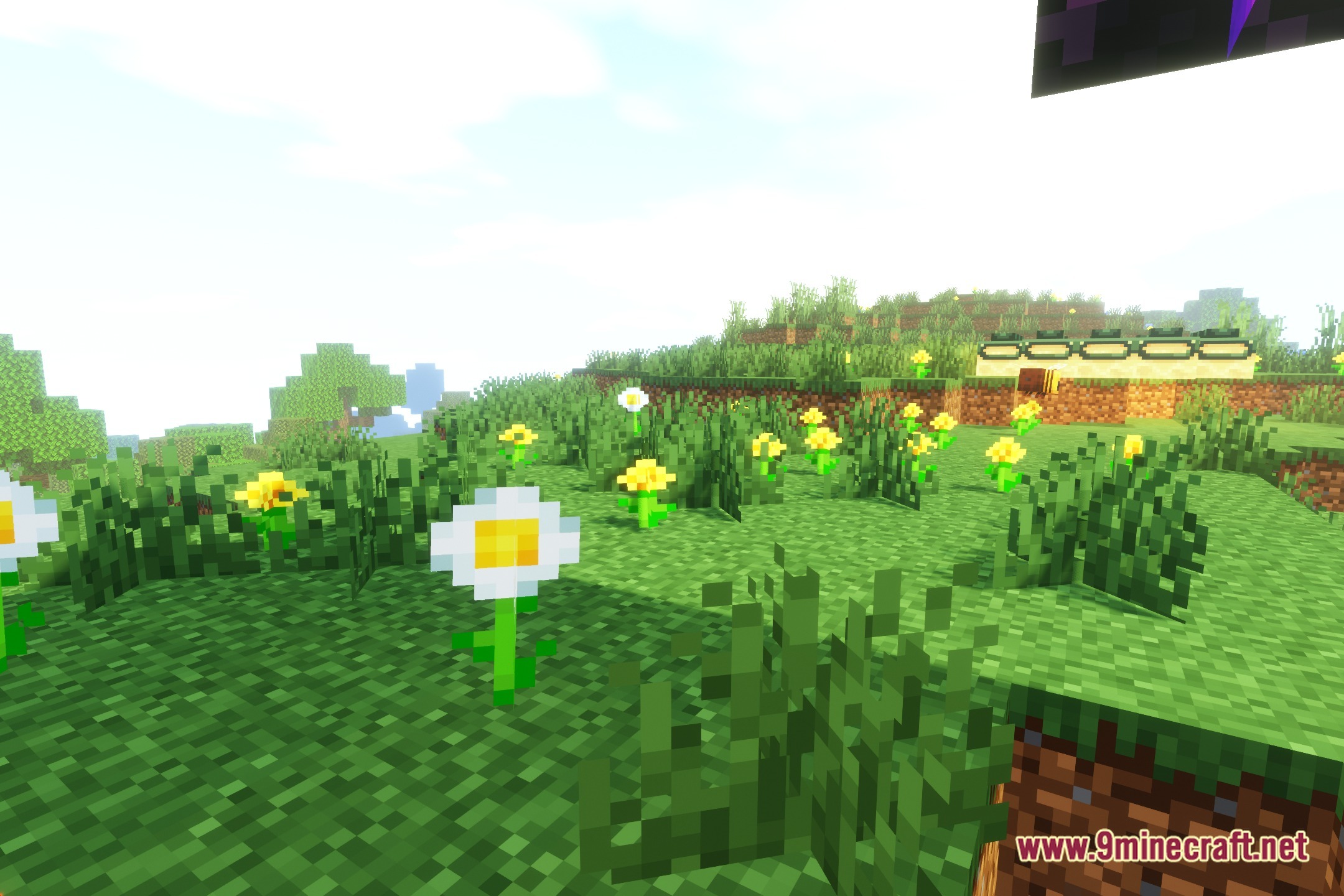 Visuality_Shaders Screenshot 5