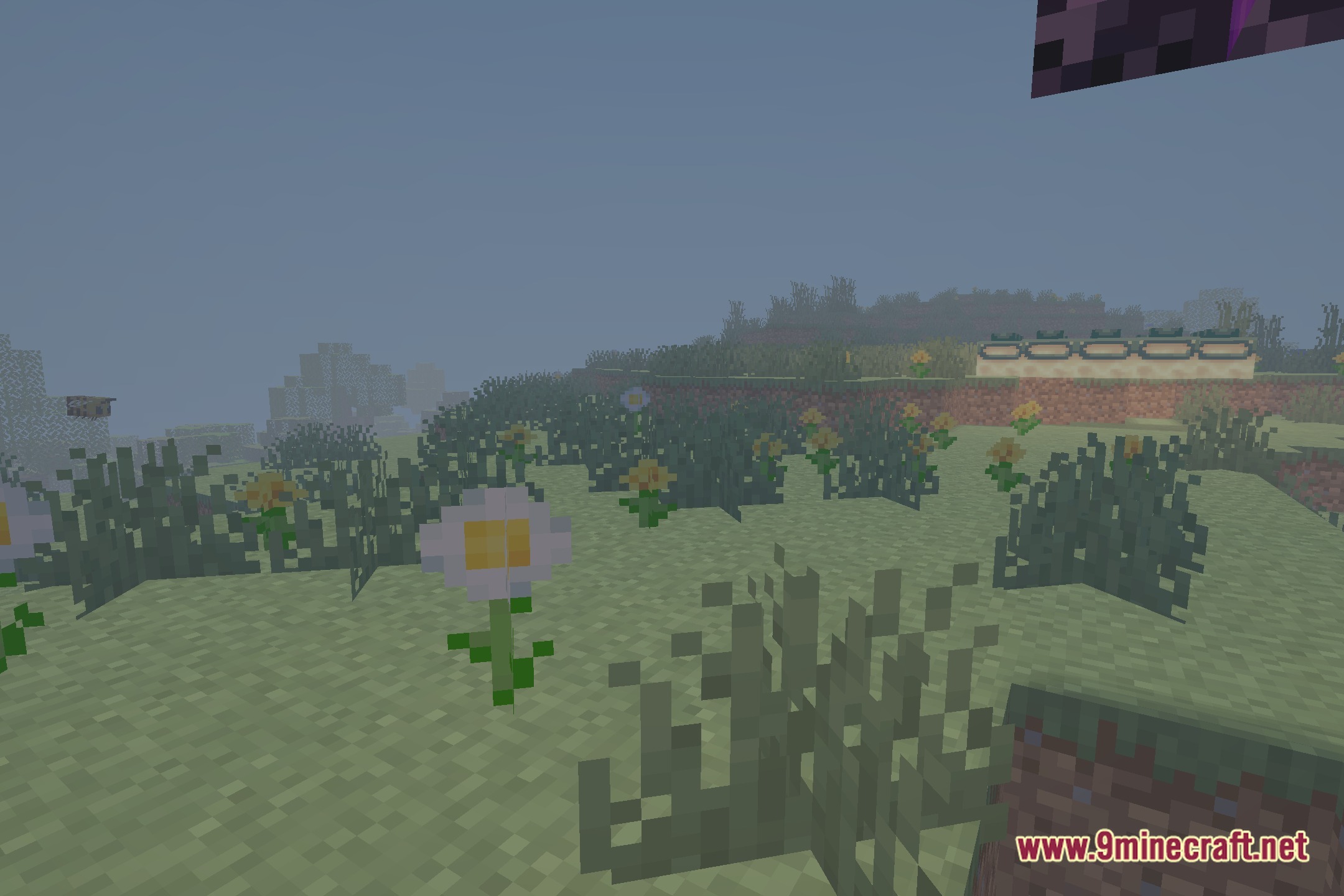 Vivid Cinematic Rays Shaders Screenshot 2