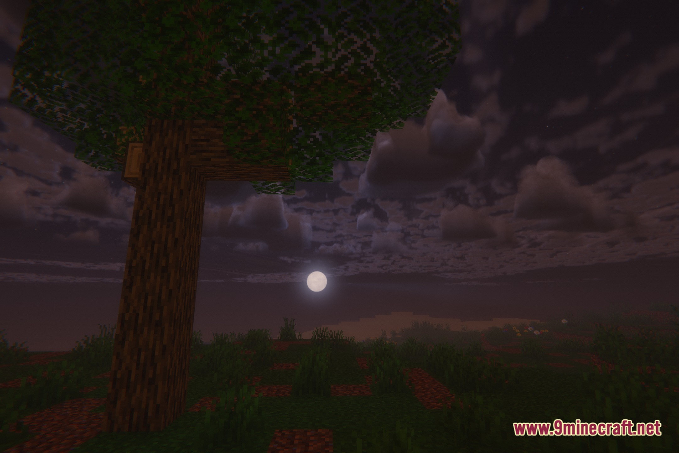 Vivid Cinematic Shadows Shaders Screenshot 4