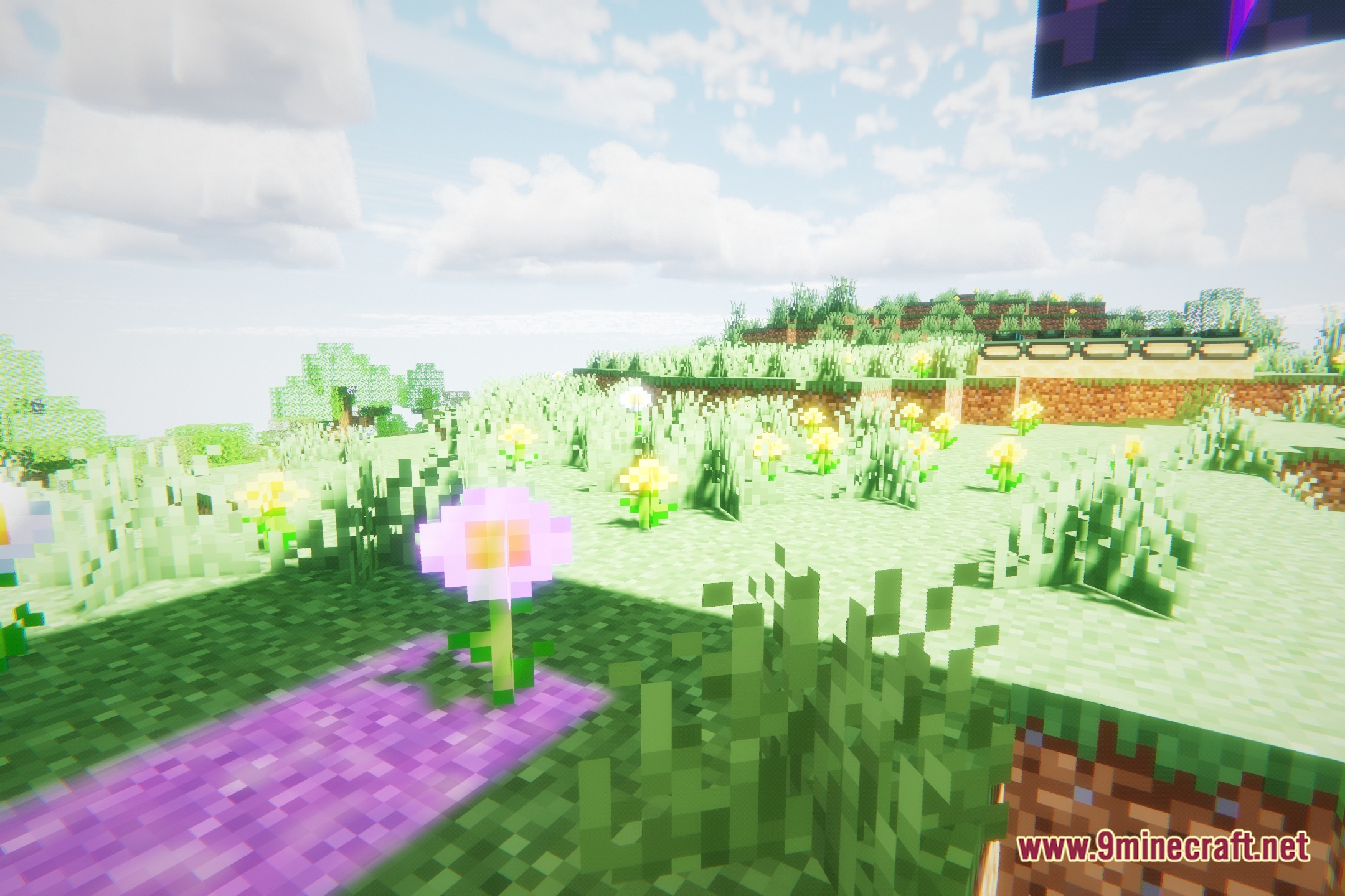 Vivid Cinematic Shadows Shaders Screenshot 5