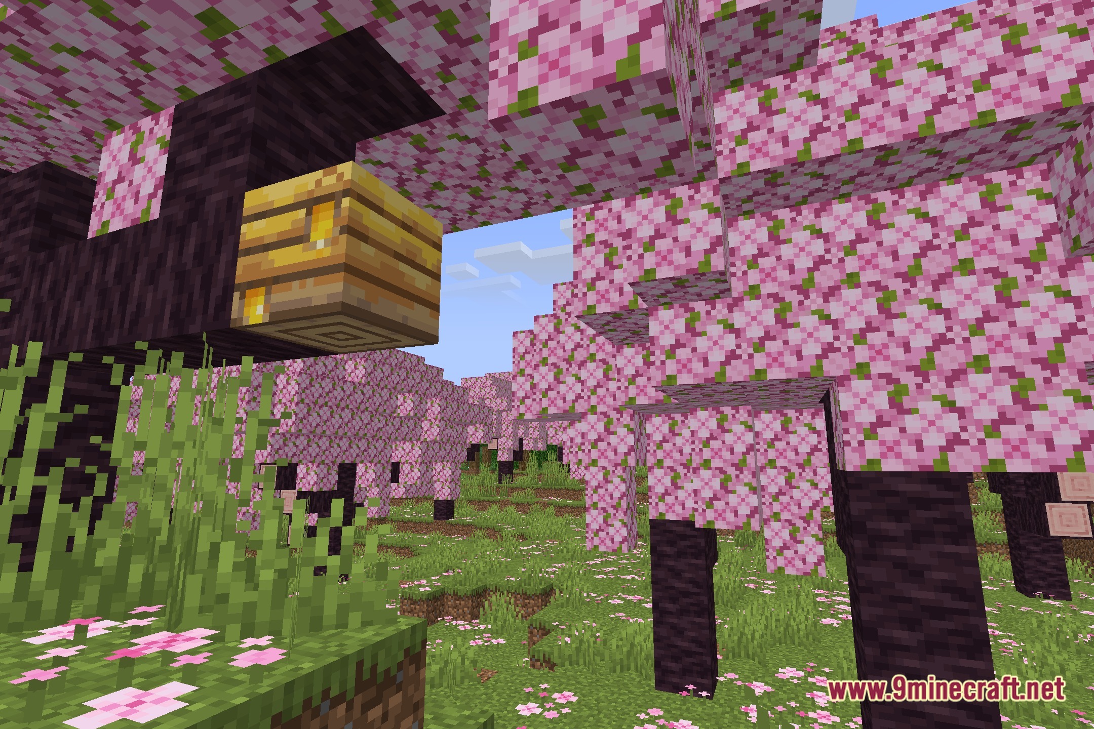 Vivid Clear Horizons Shaders Screenshot 1