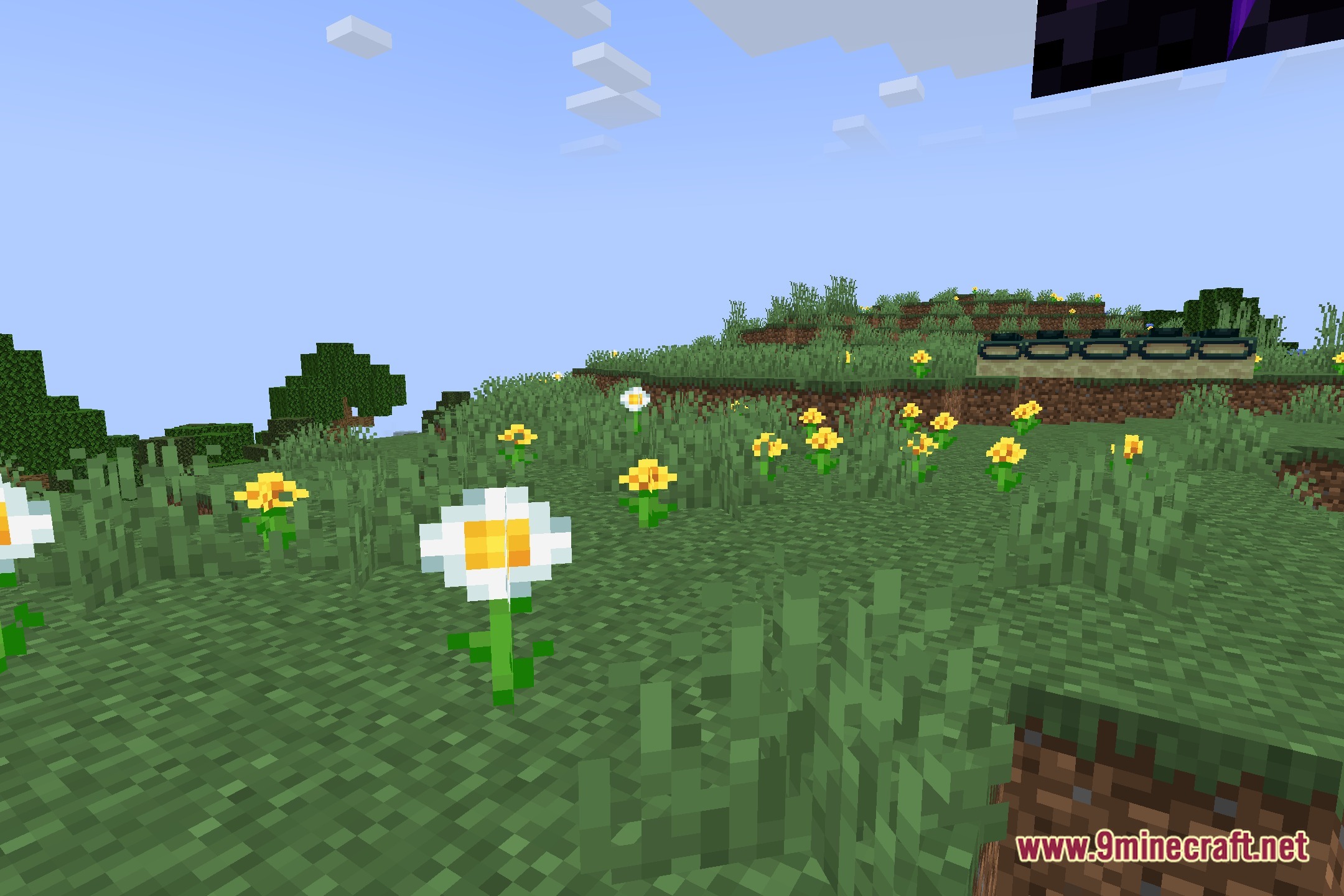 Vivid Clear Horizons Shaders Screenshot 5