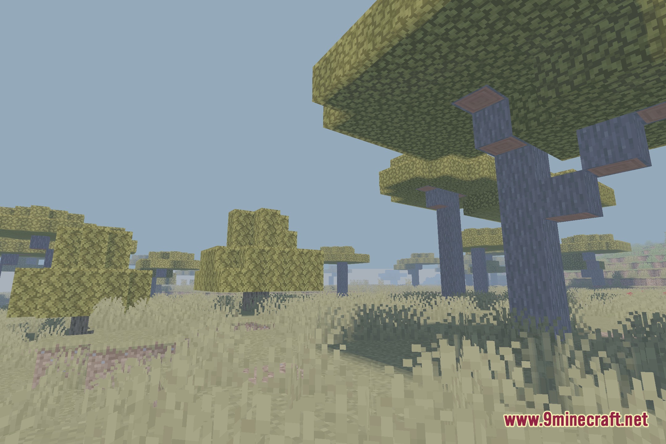 Vivid Lucid Shadows Shaders Screenshot 10