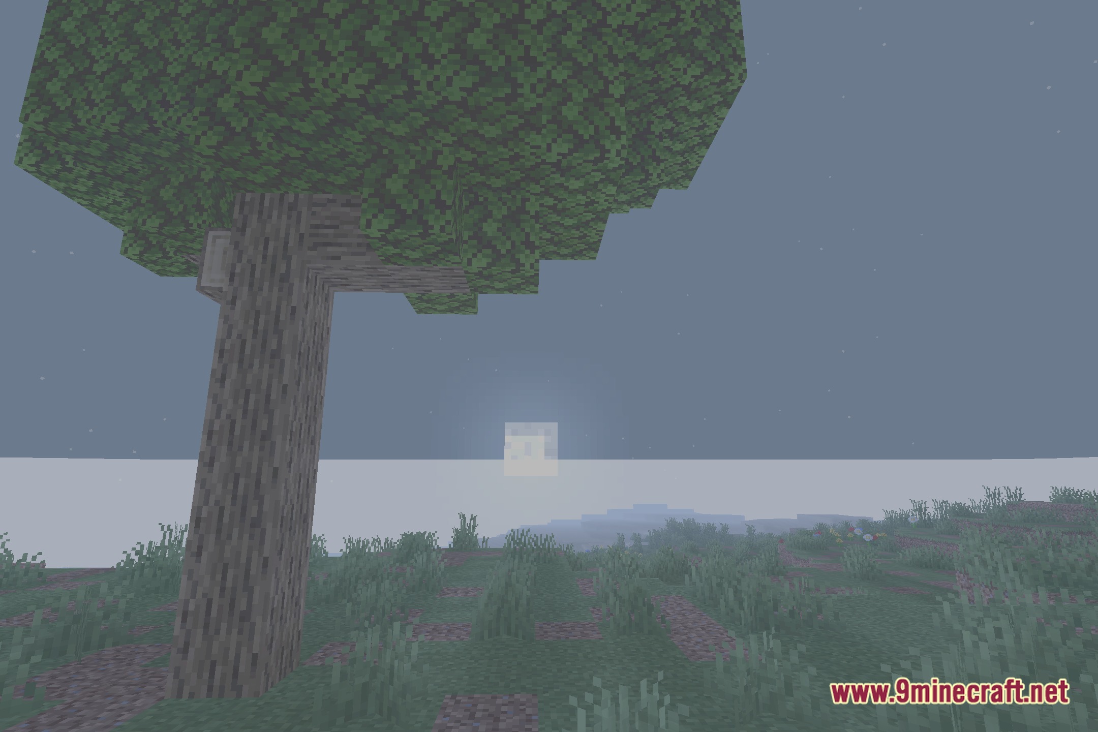 Vivid Lucid Shadows Shaders Screenshot 3