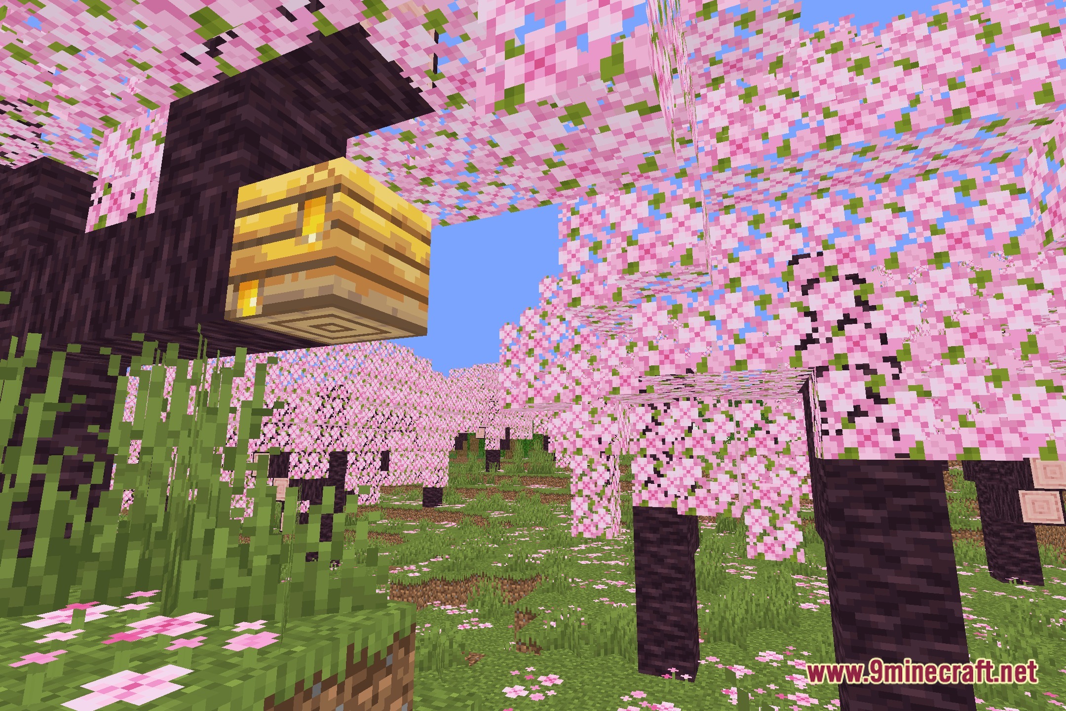 Vivid Radiant Clarity Shaders Screenshot 1