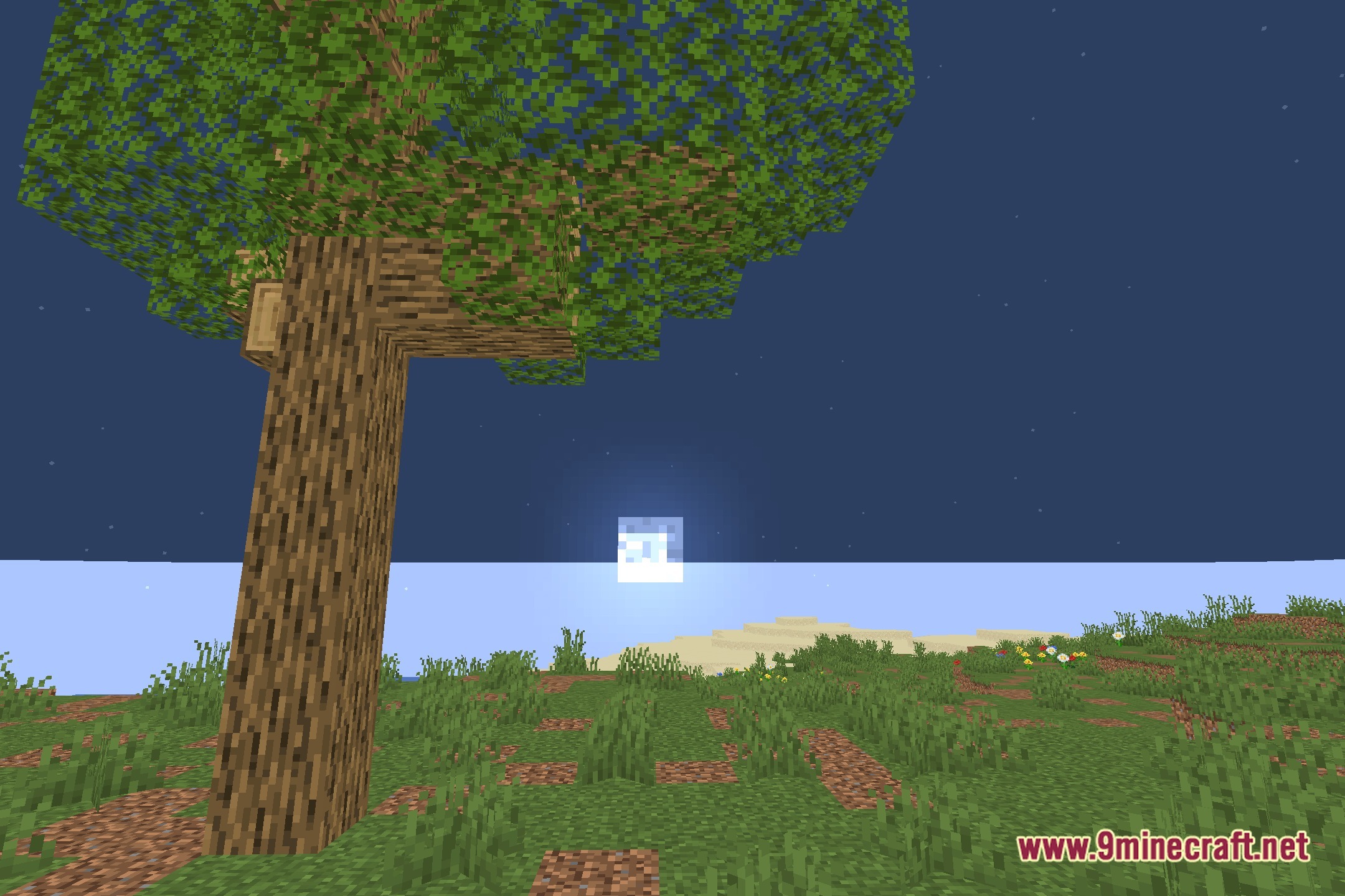 Vivid Radiant Clarity Shaders Screenshot 4