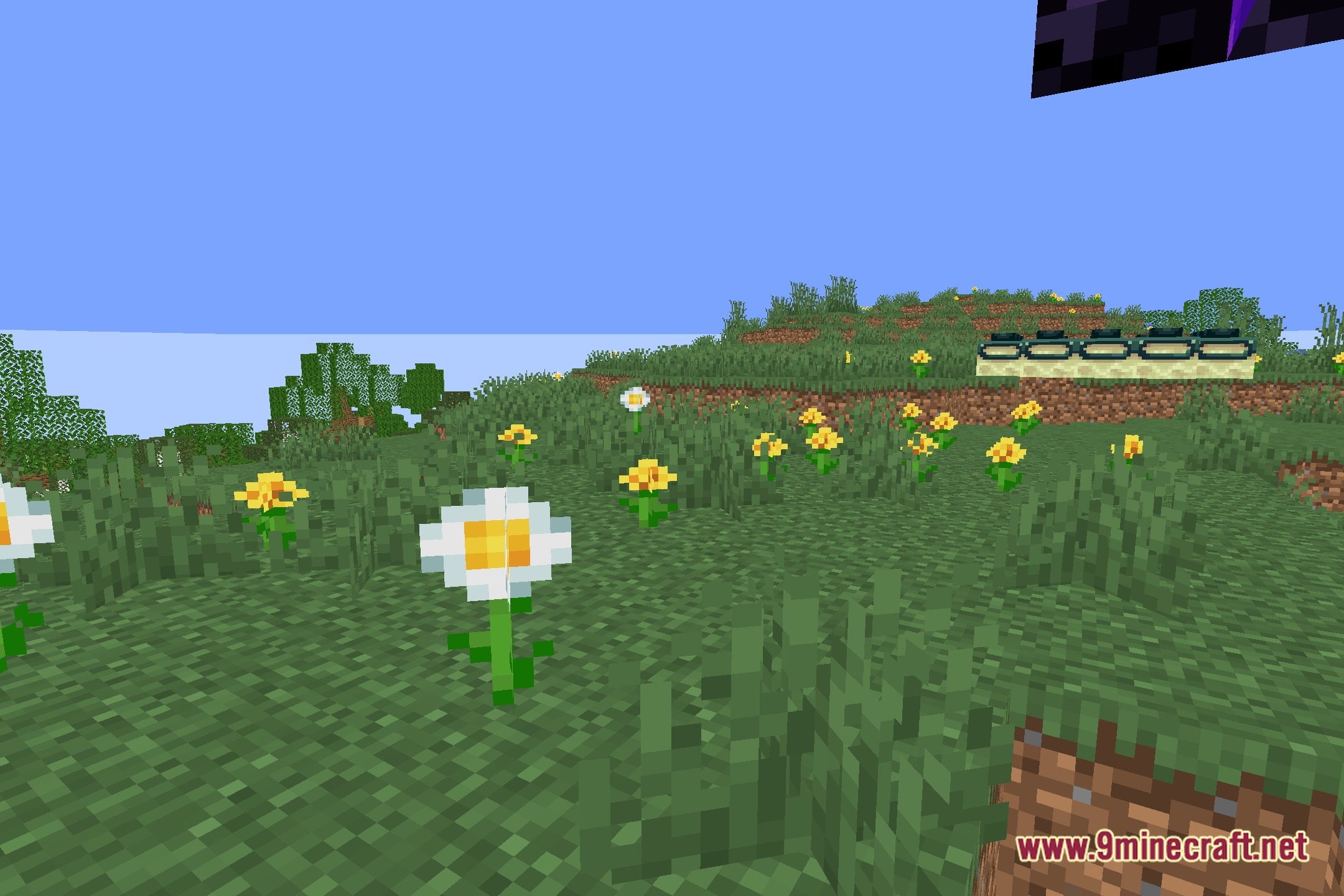 Vivid Radiant Clarity Shaders Screenshot 5