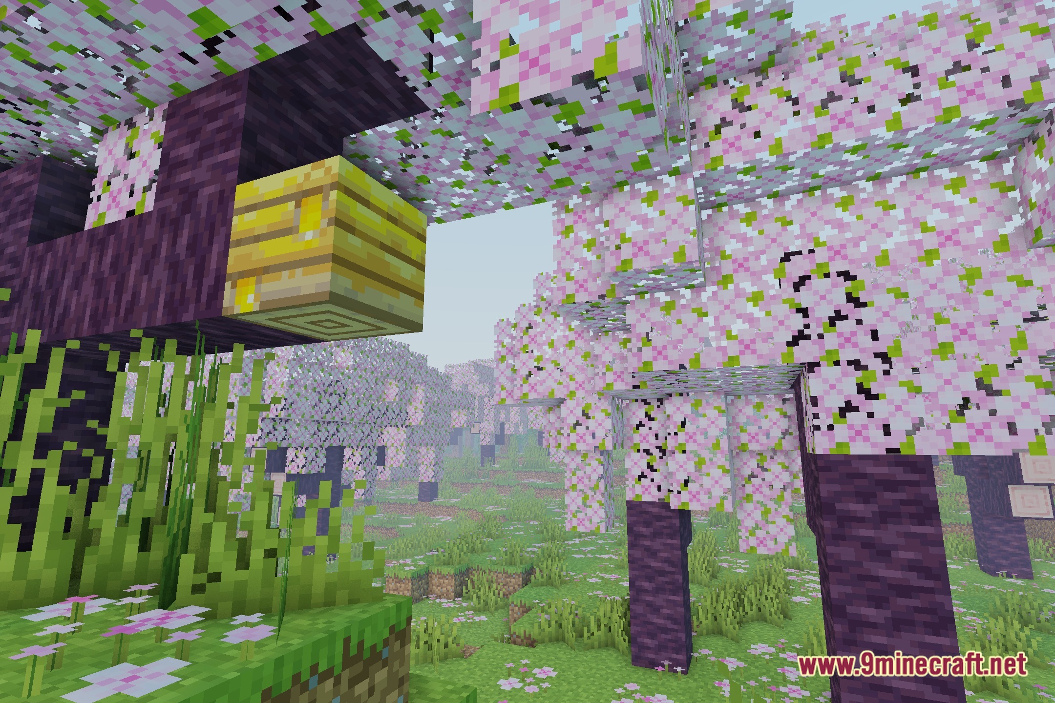 Vivid Radiant Skies Shaders Screenshot 1