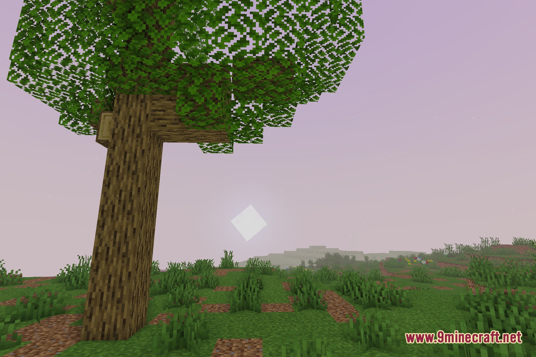Vivid Radiant Skies Shaders Screenshot 4