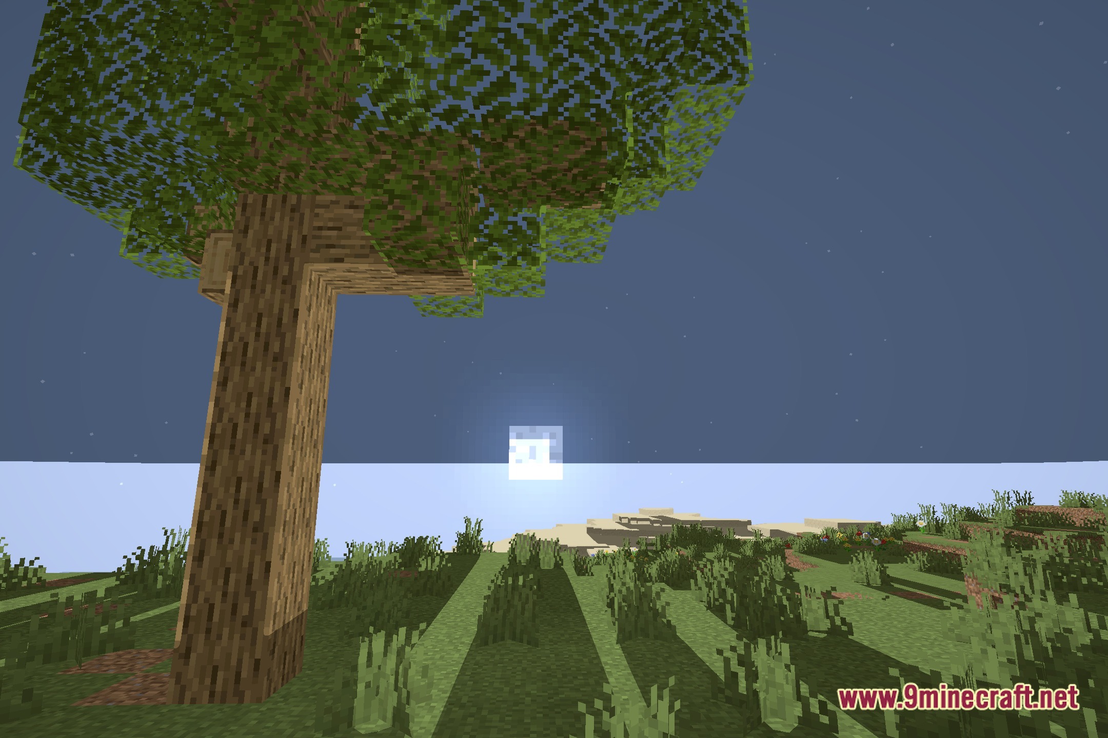 VoidLight Cinematic Shaders Screenshot 4