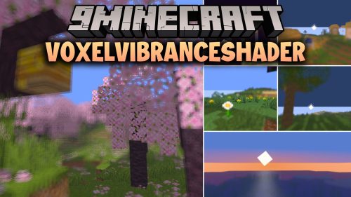 VoxelVibranceShader